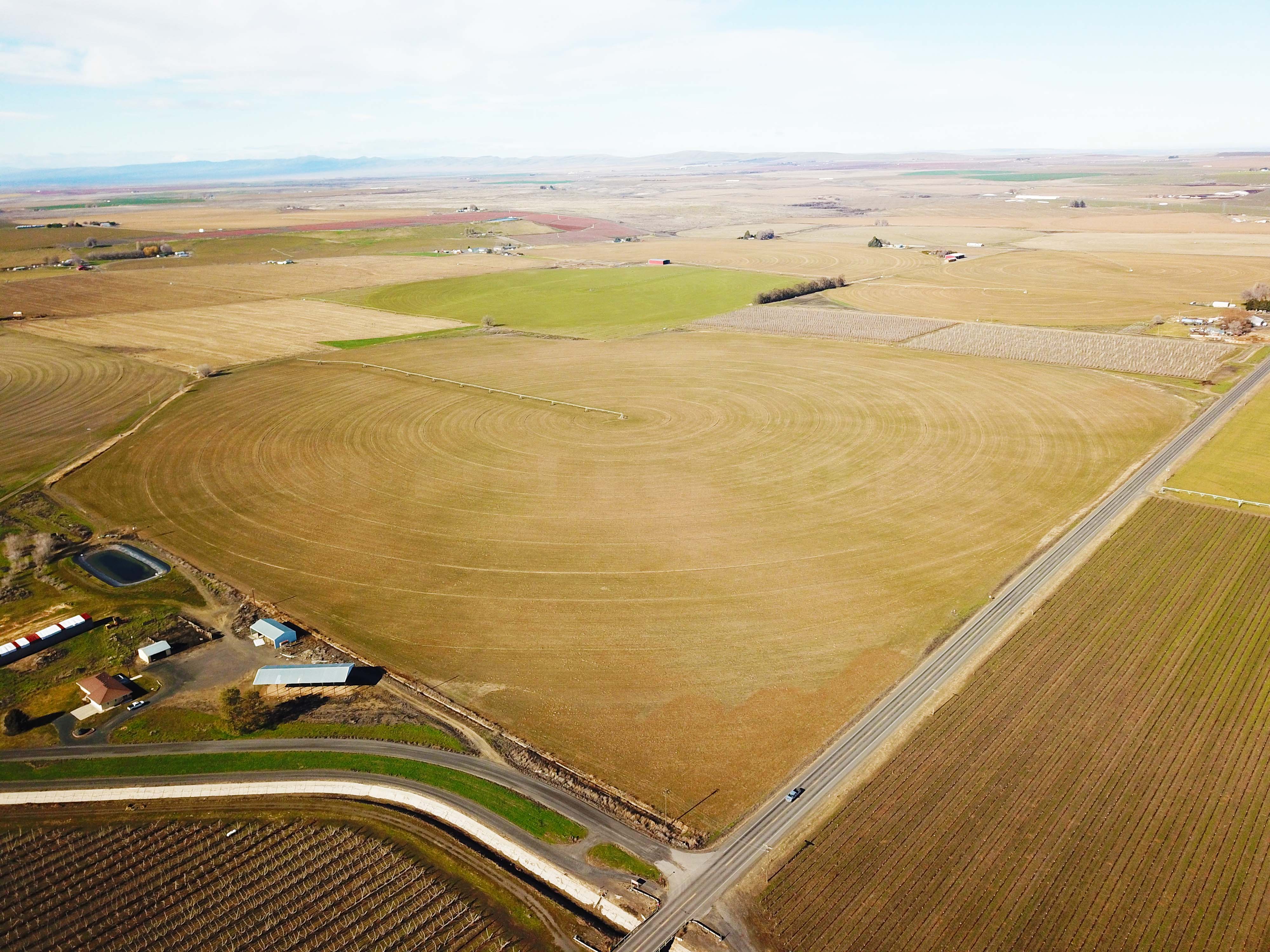 Fern Road Irrigated farm