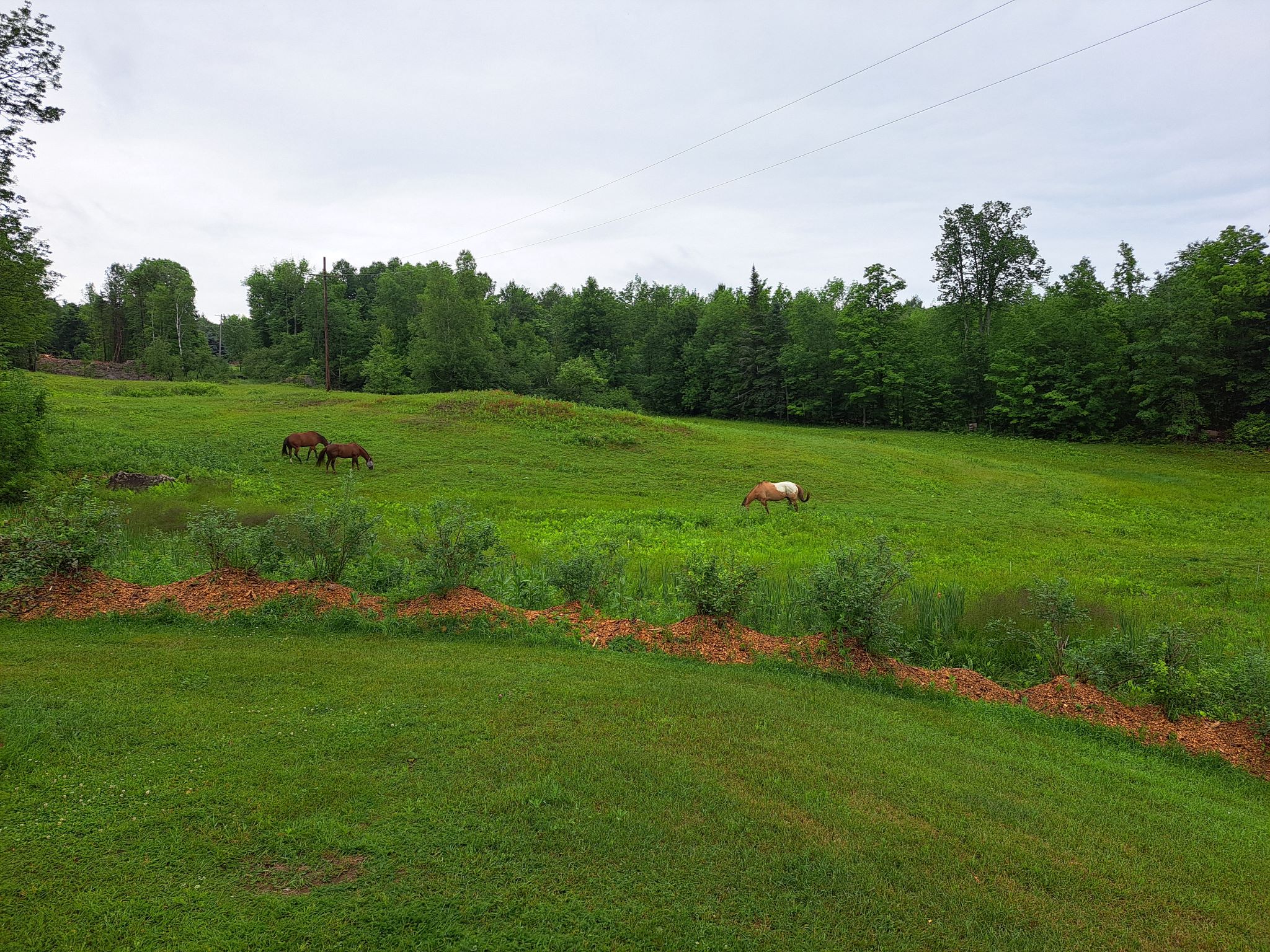 Listing Image 70