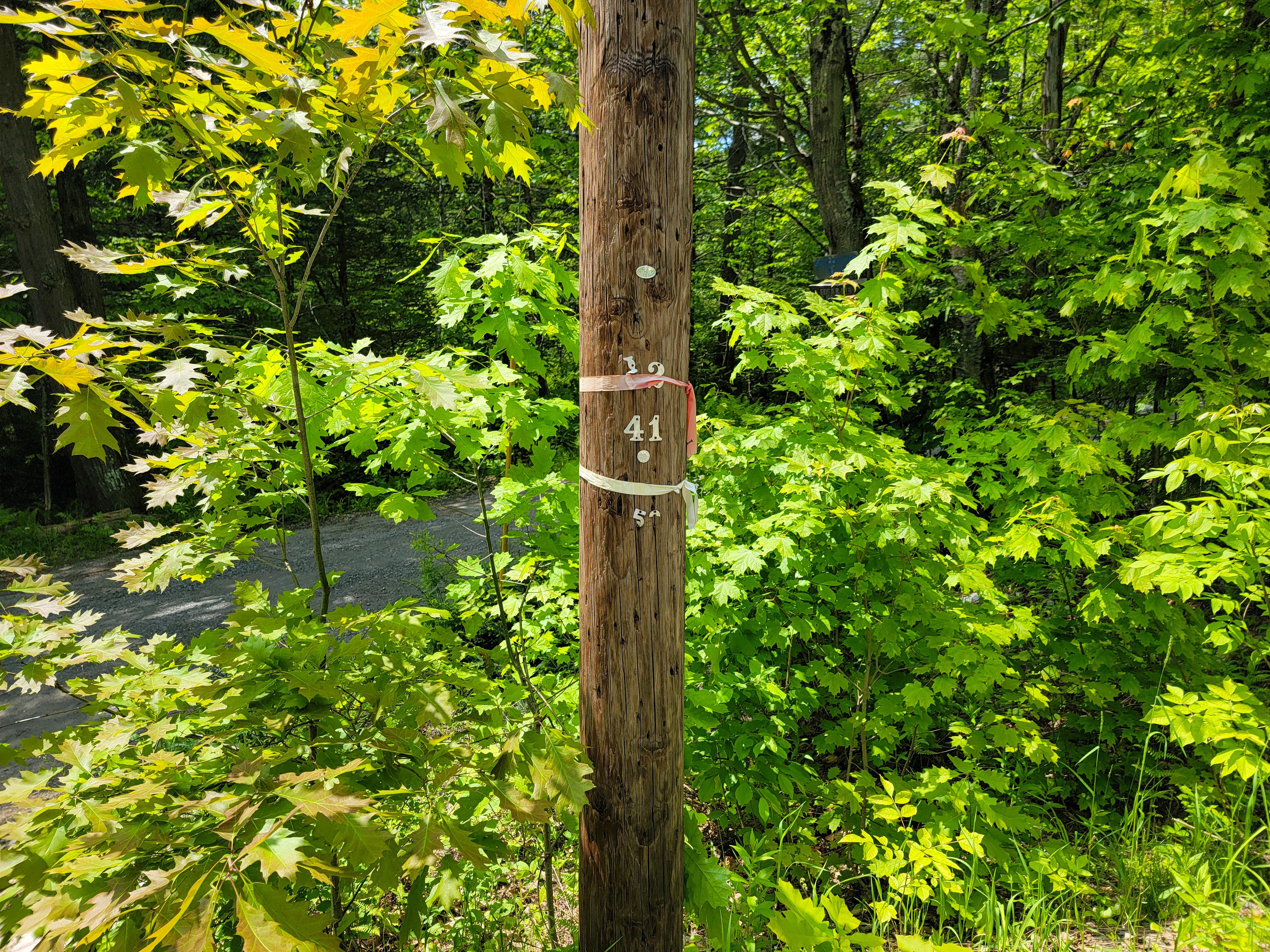 184 Schoolhouse Rd Jamaica