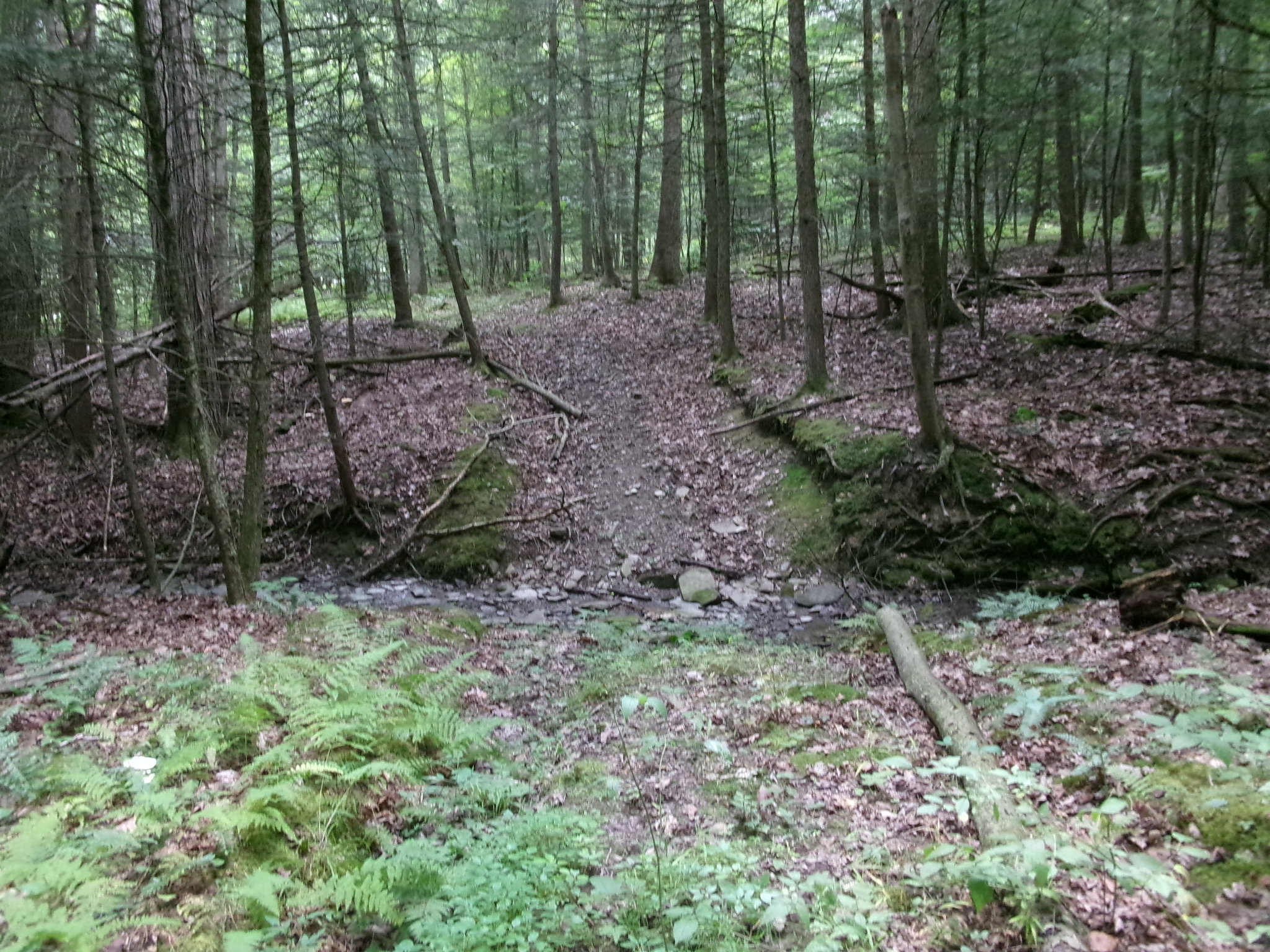 Listing Image 45