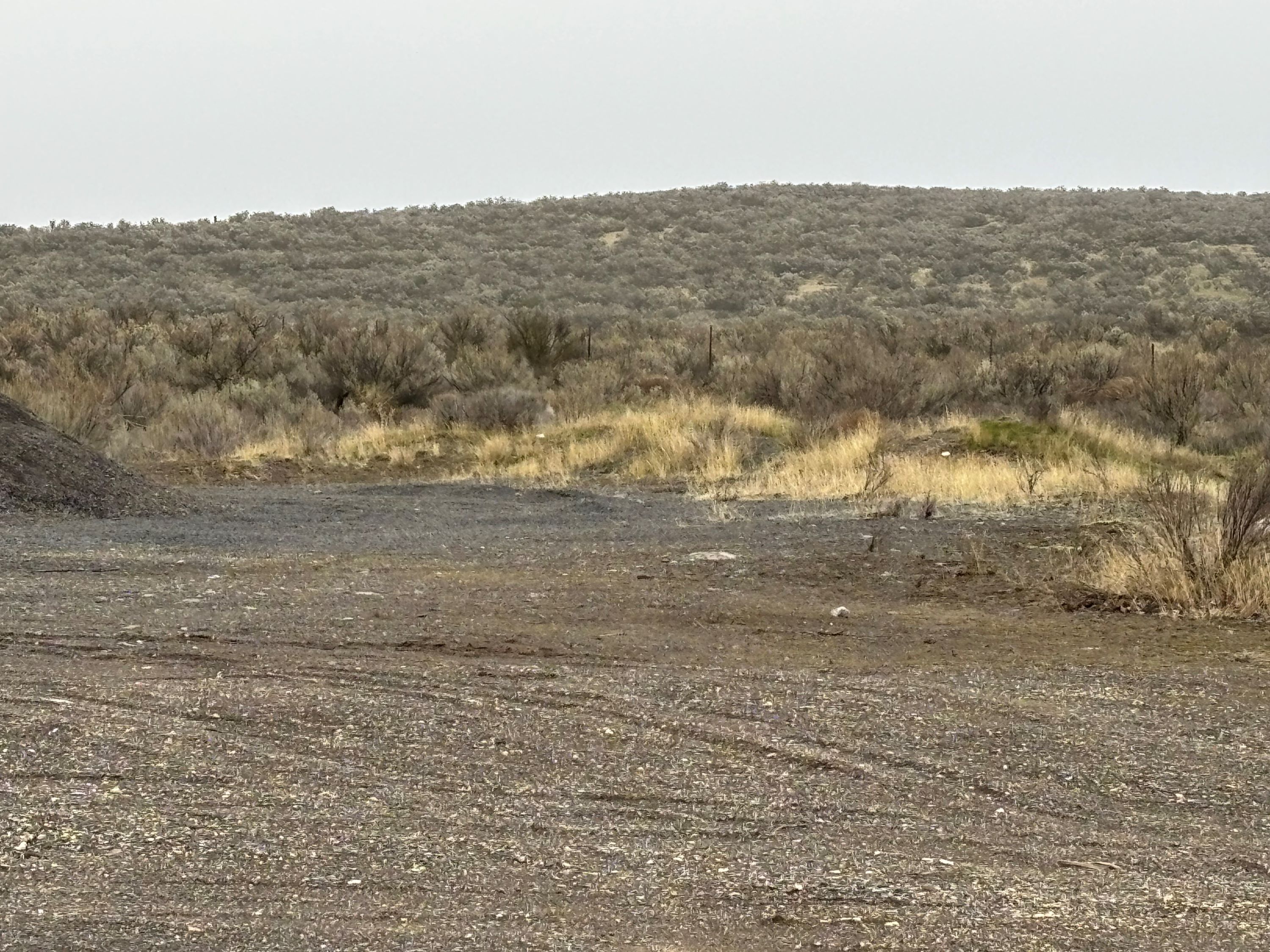 Over 10 Acres with room to Play!