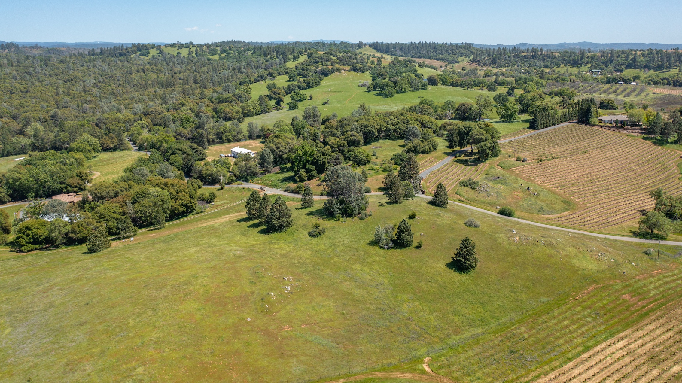 Listing Image 91