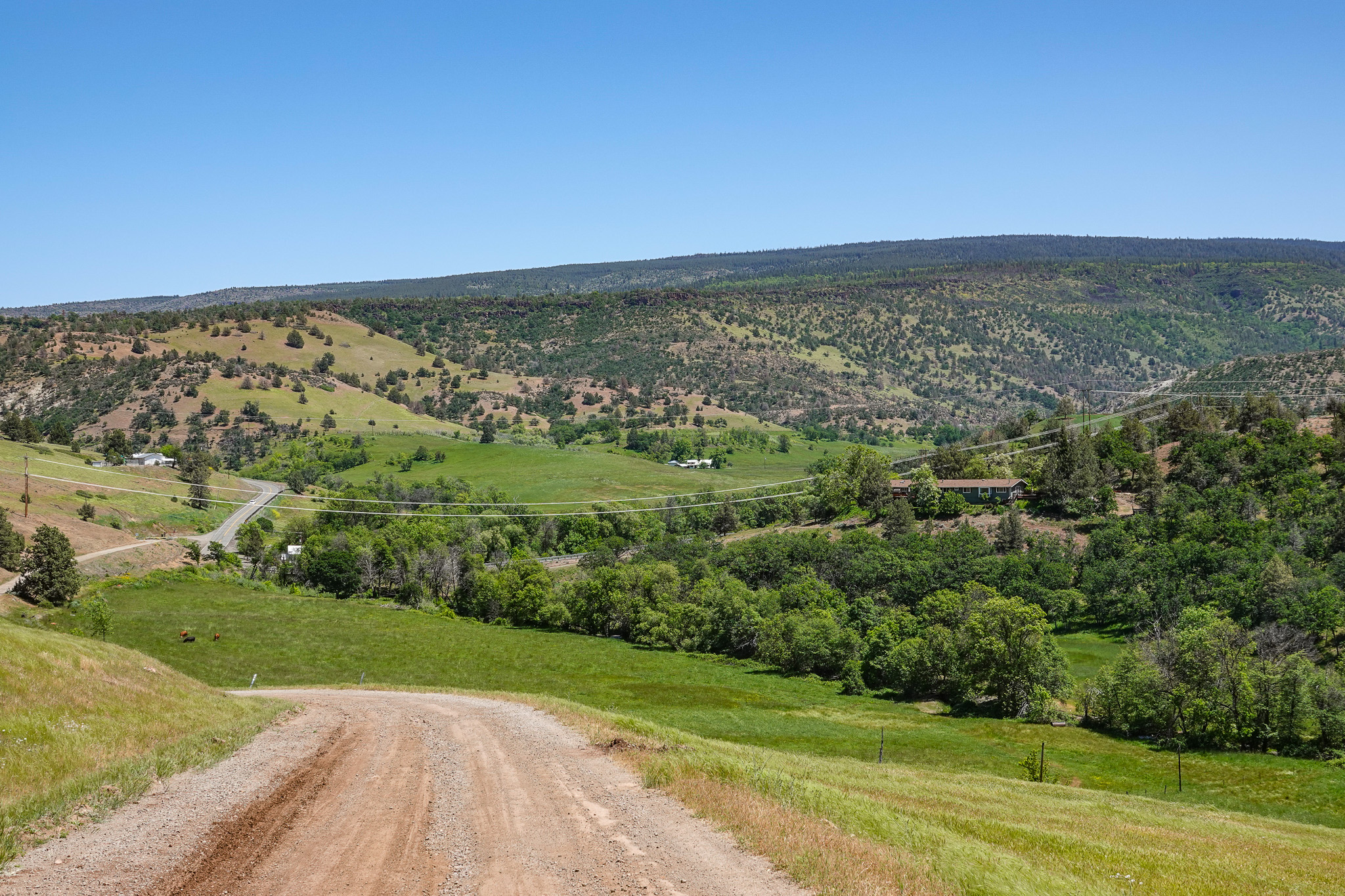 MJ Ranch