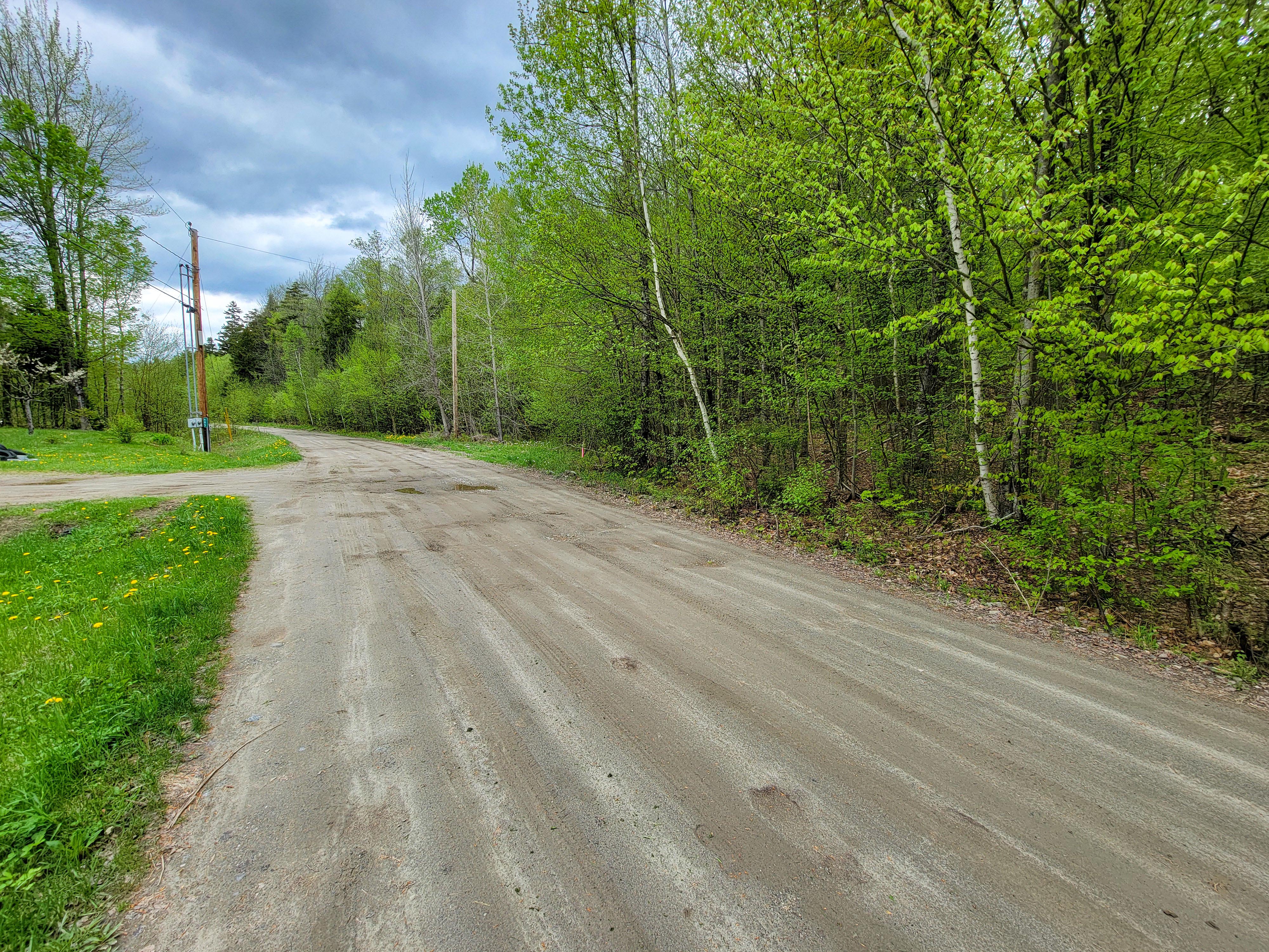 Listing Image 20
