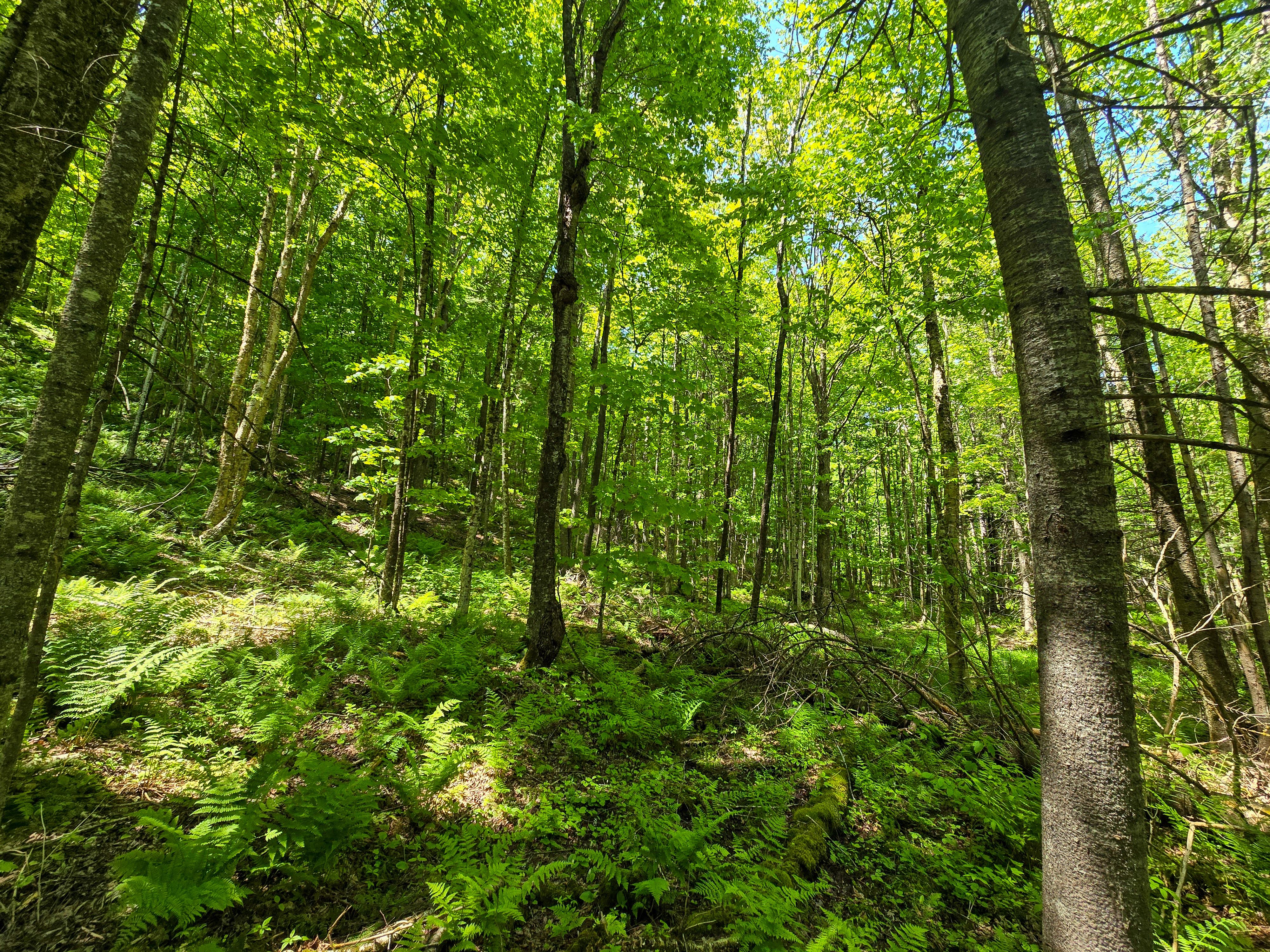 150 Spur Rd - Bloomfield