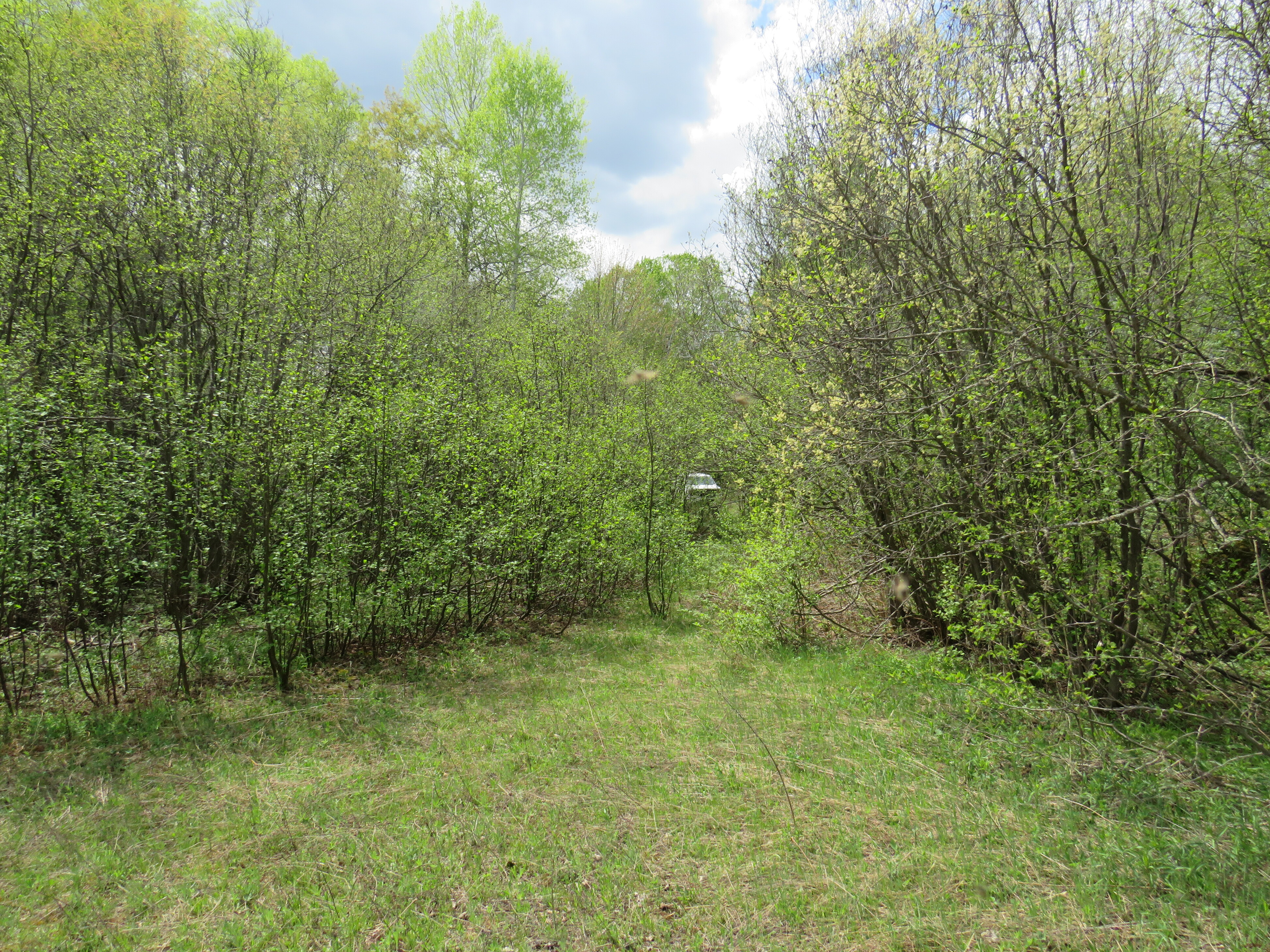 160 Acre Wilderness Retreat 50175391