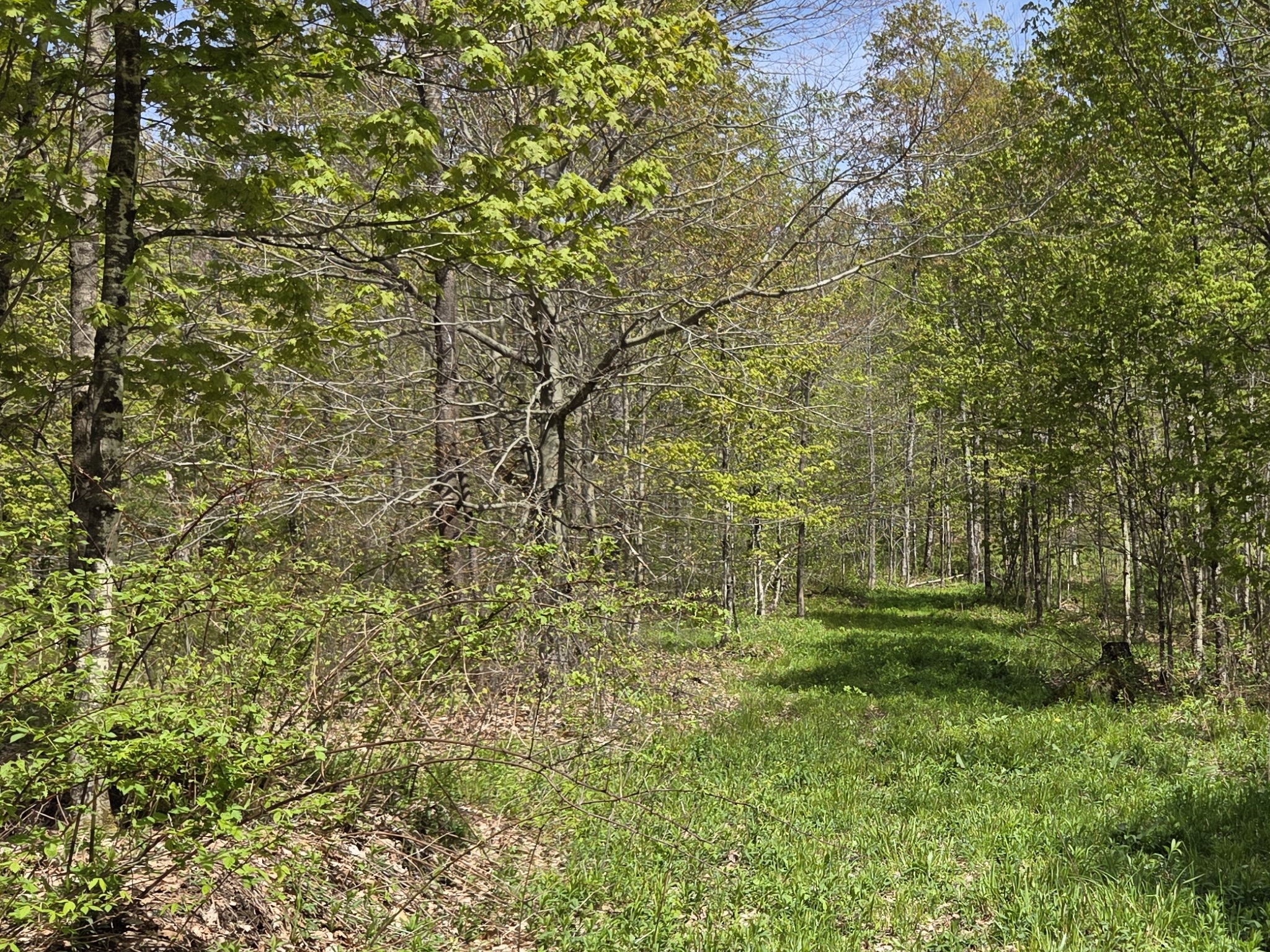Listing Image 38