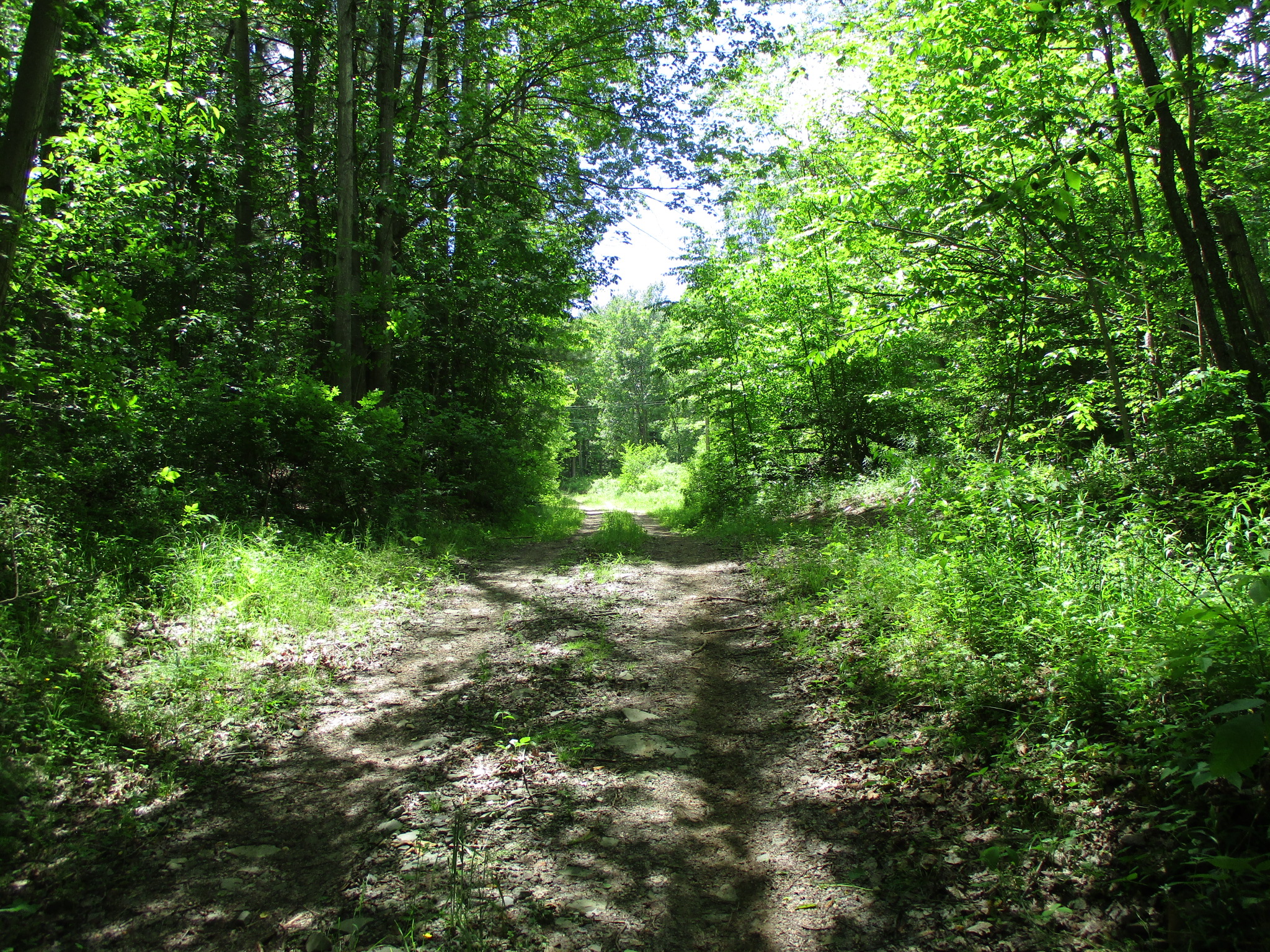 Listing Image 17