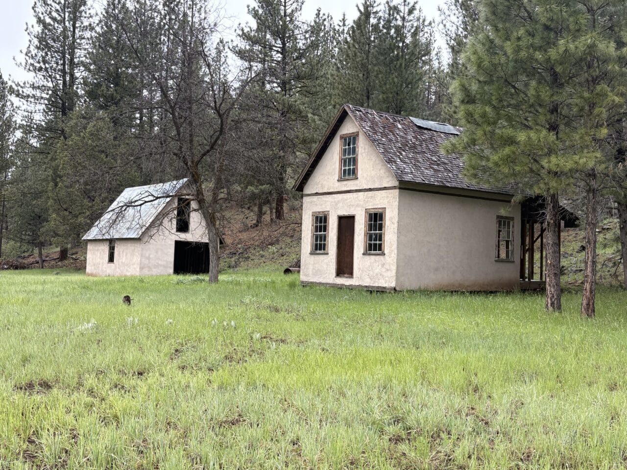 Johnson Creek Meadow