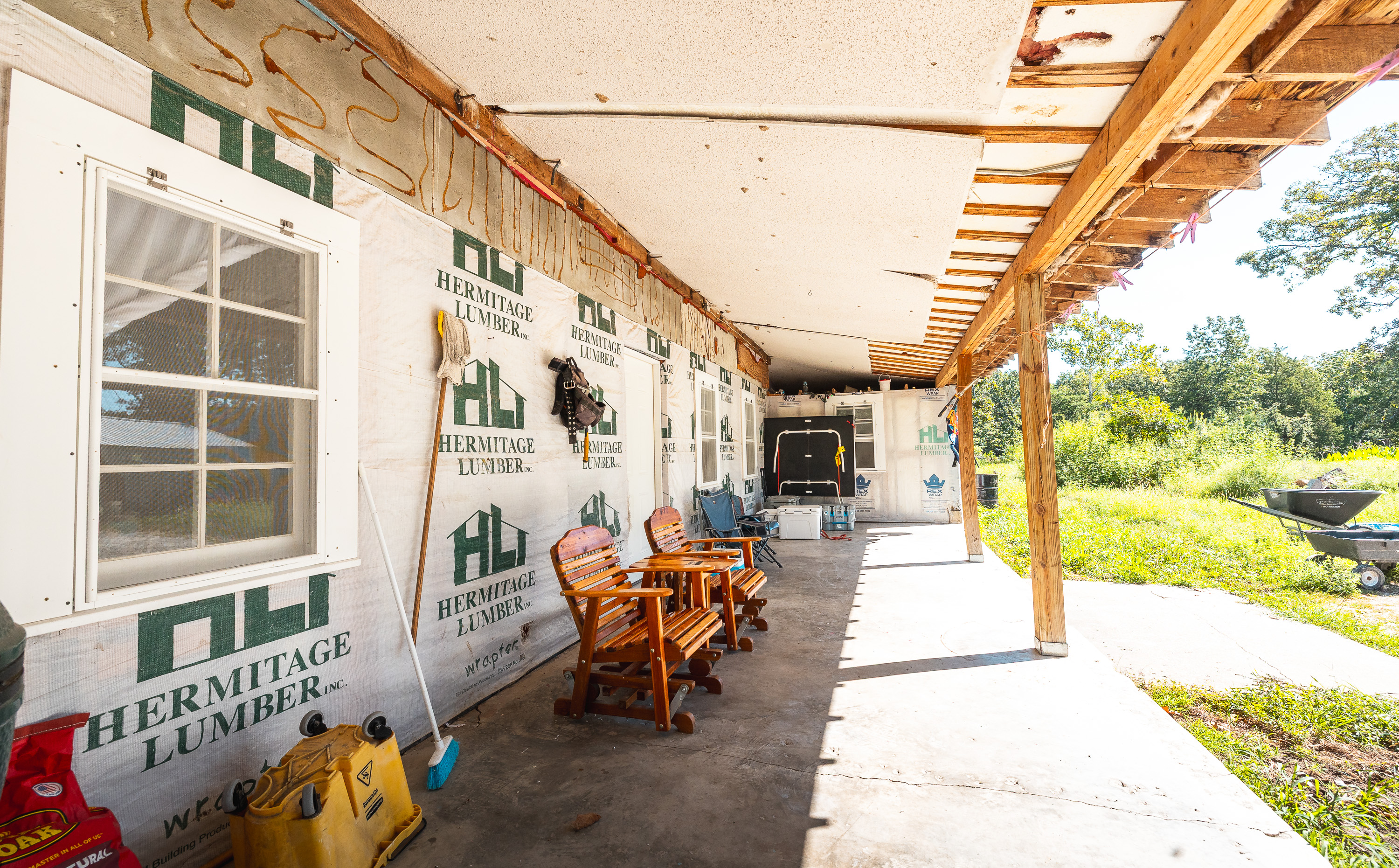 Cage Free Chicken Farm