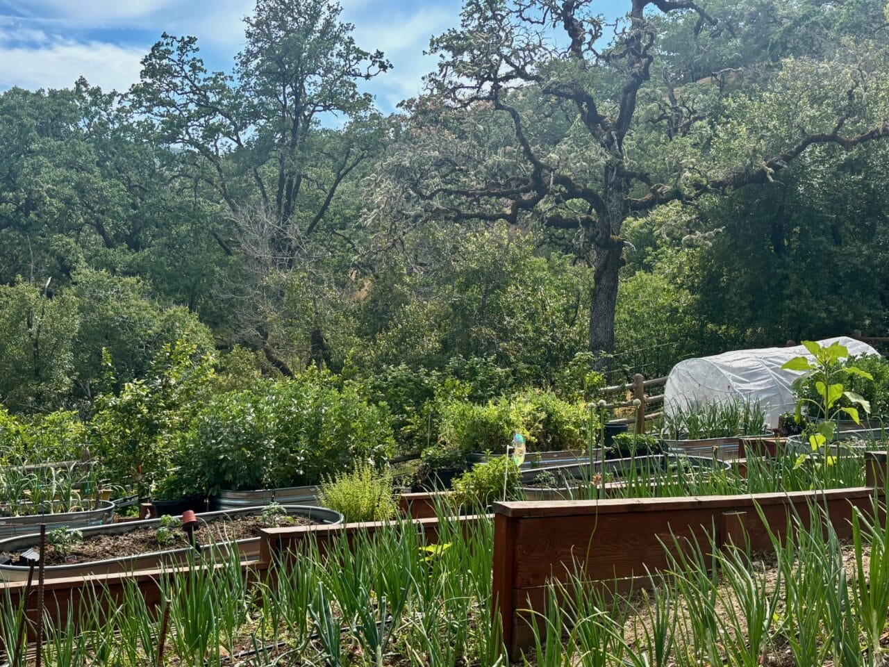 McNab Crag Ranch