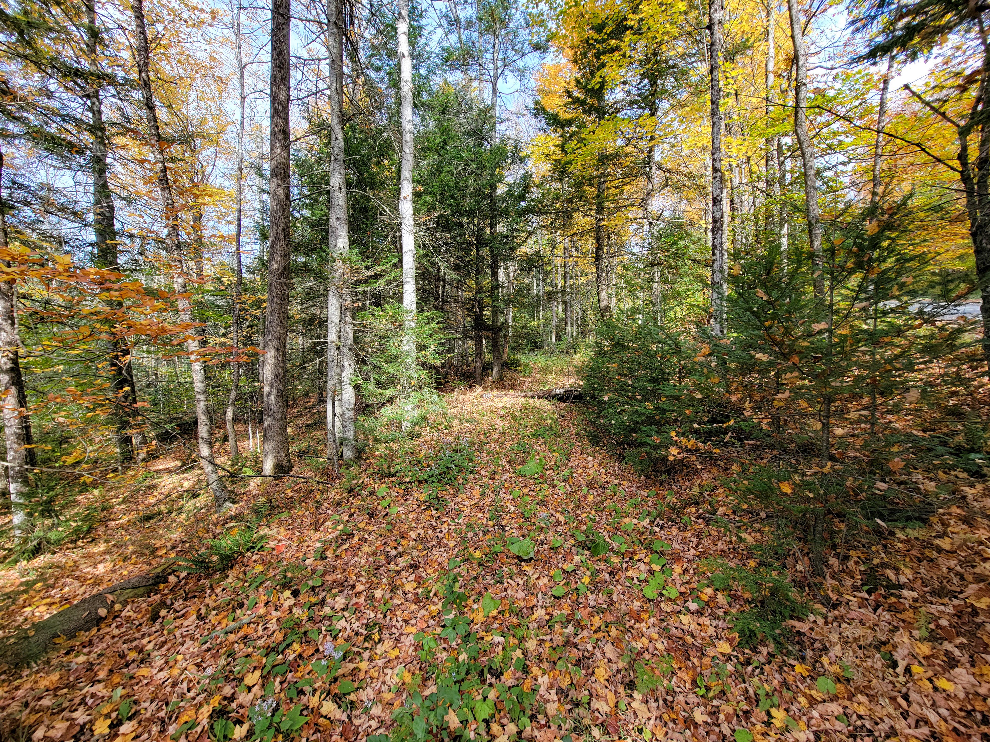 Listing Image 38