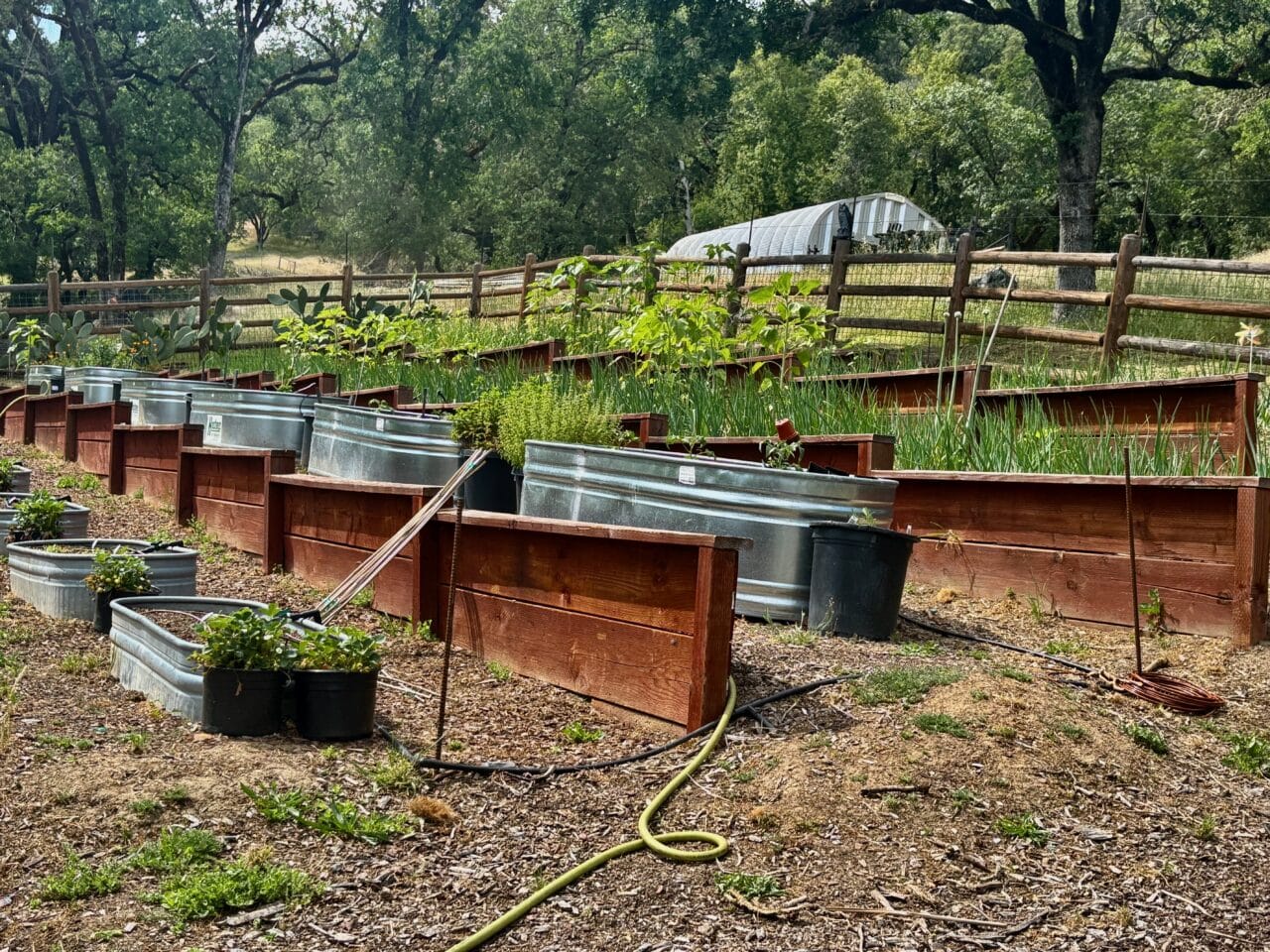 McNab Crag Ranch