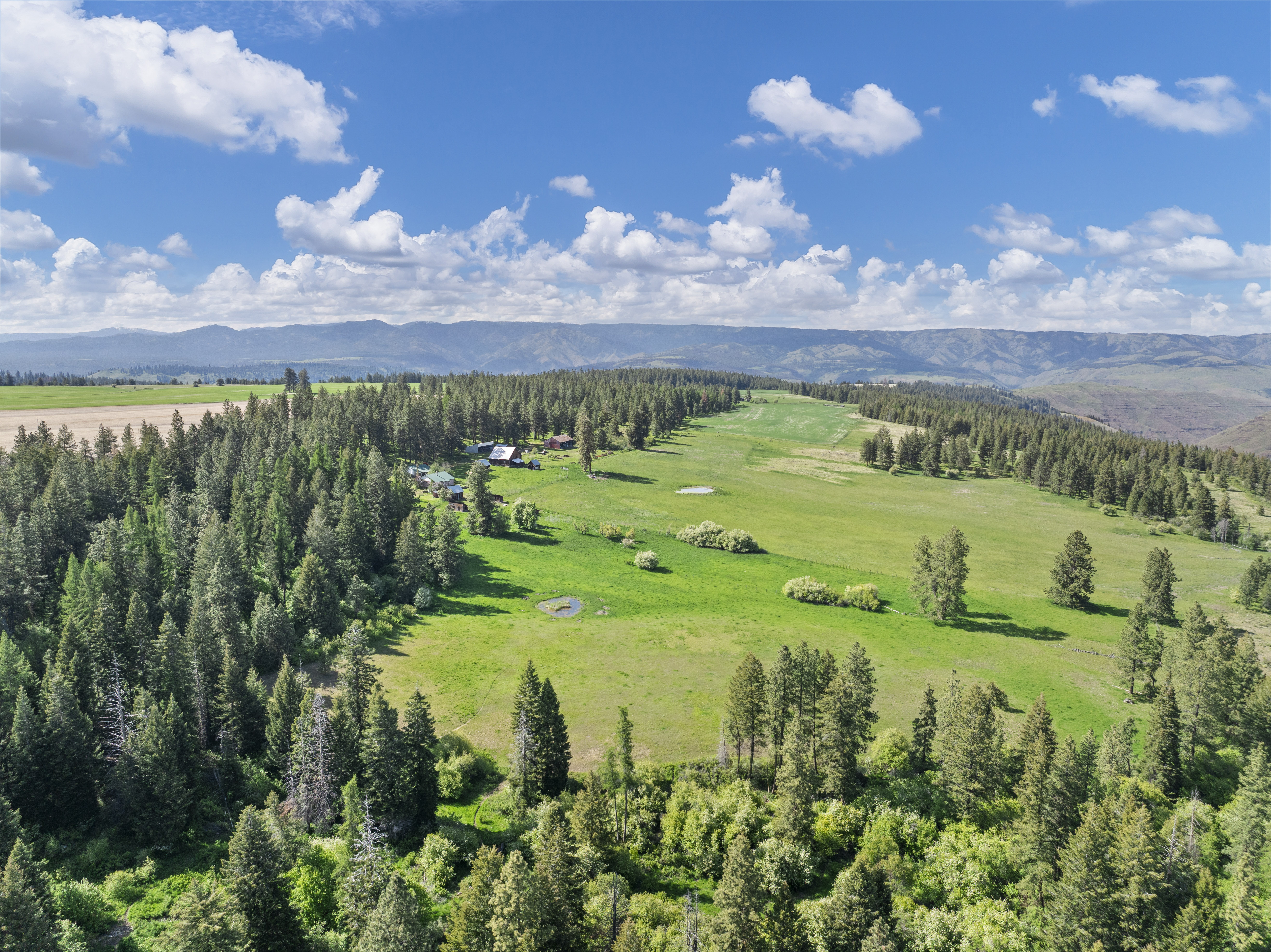 Buford Ridge Ranch