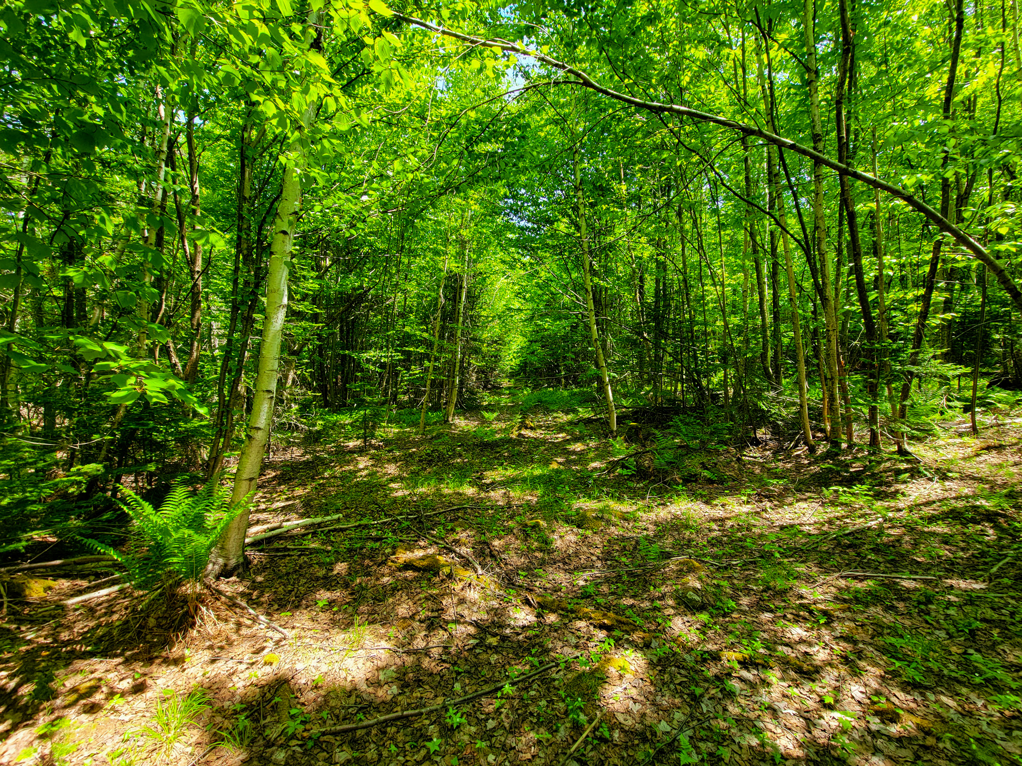 280 Gorham Hill Road - Gorham, NH