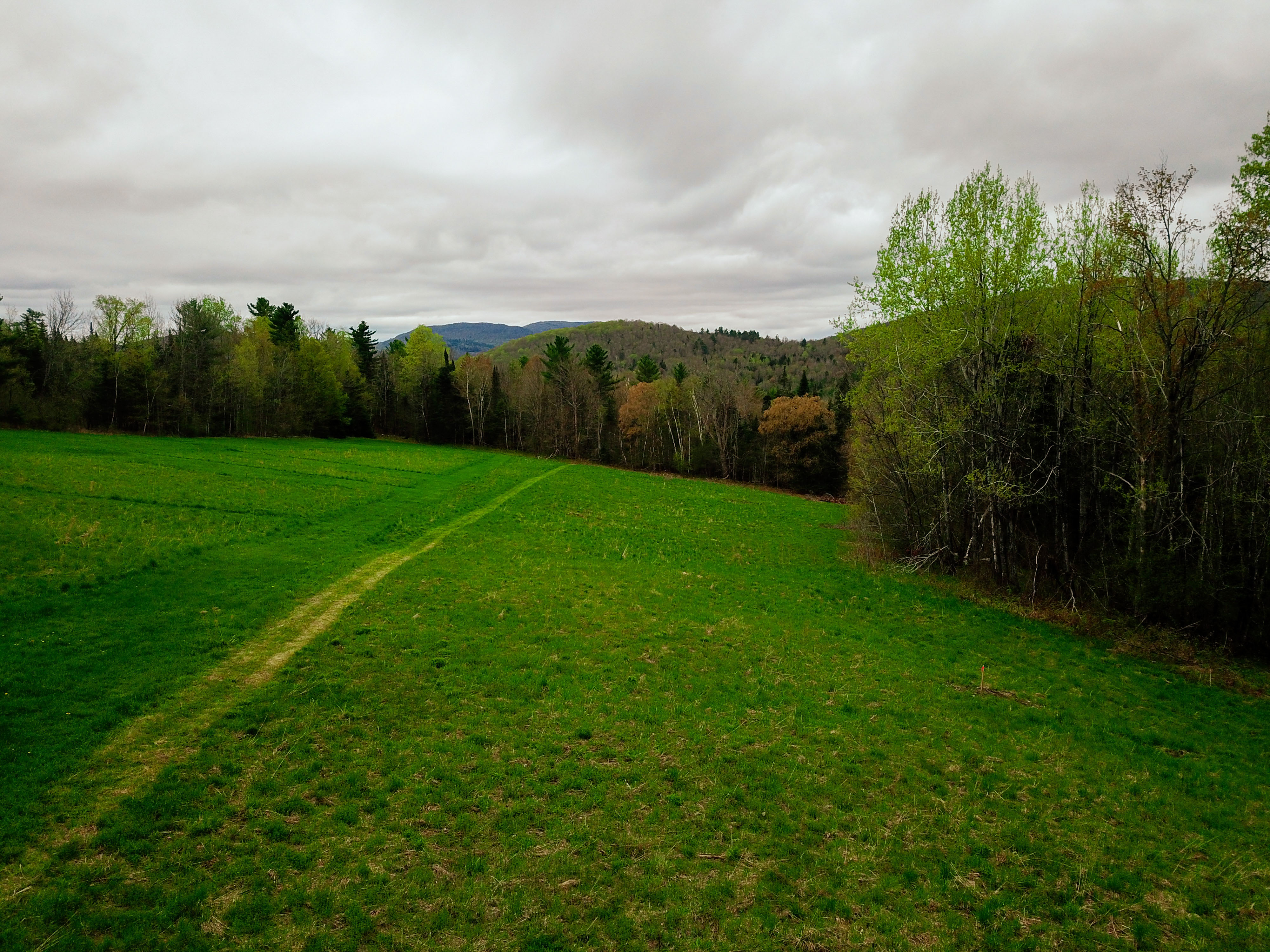 855 Campbell Rd - Waterford