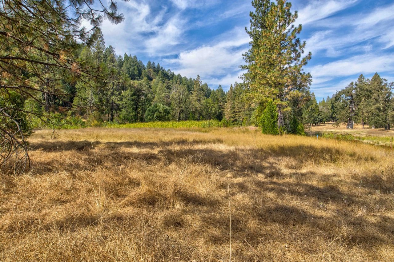 Listing Image 37