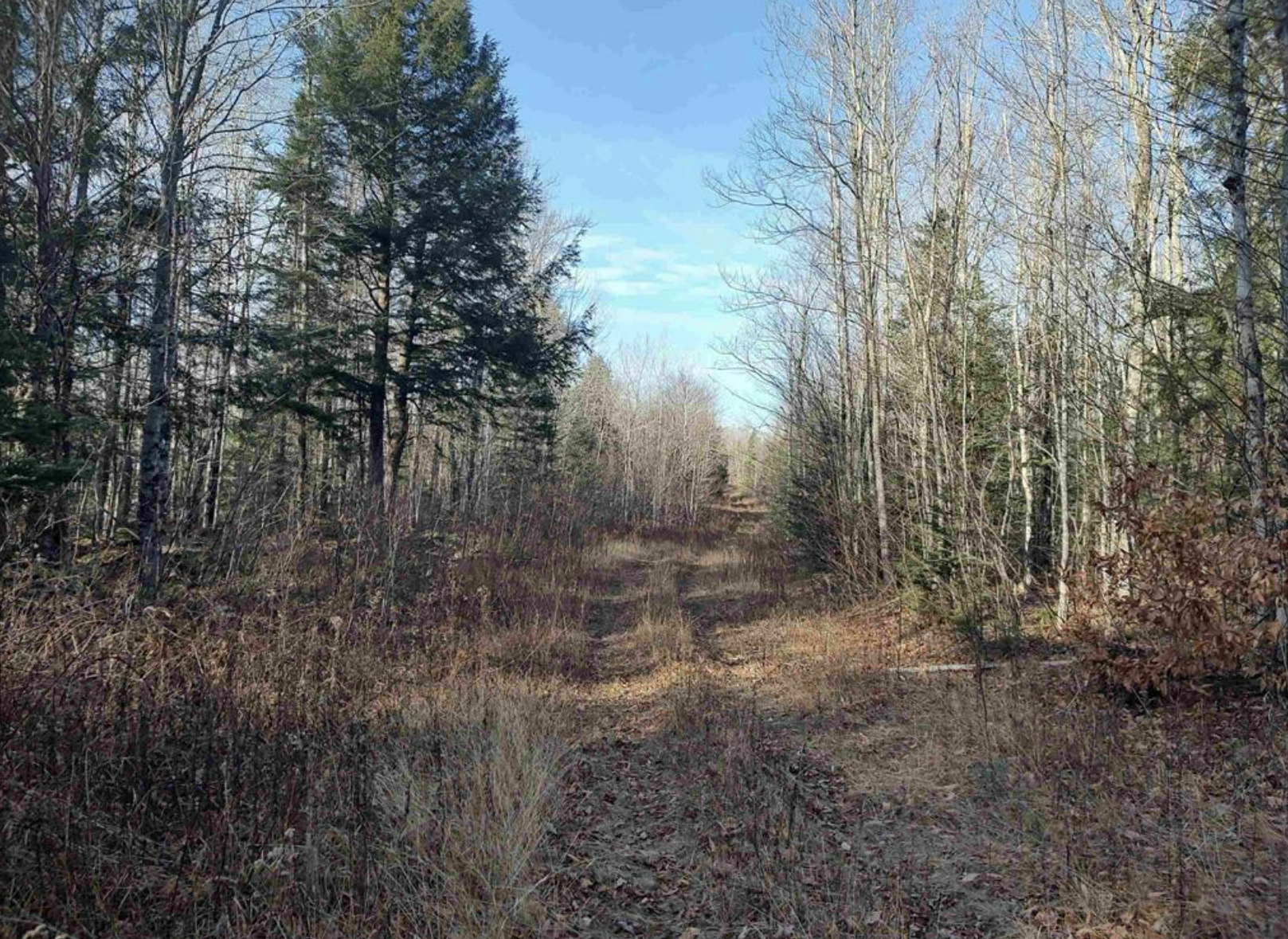 Northwoods Recreation Haven 50184509