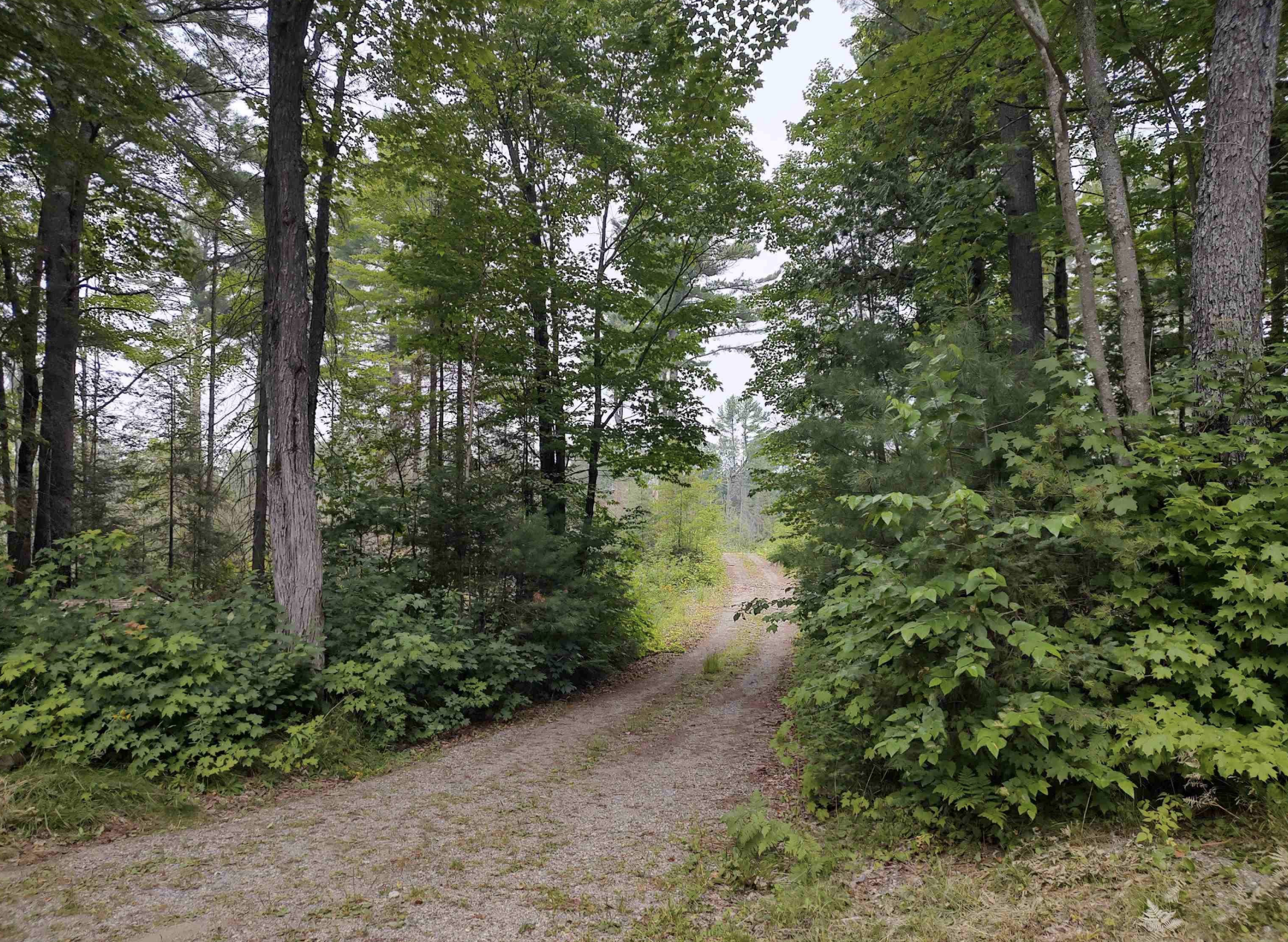 Baraga Wilderness Retreat 50185589