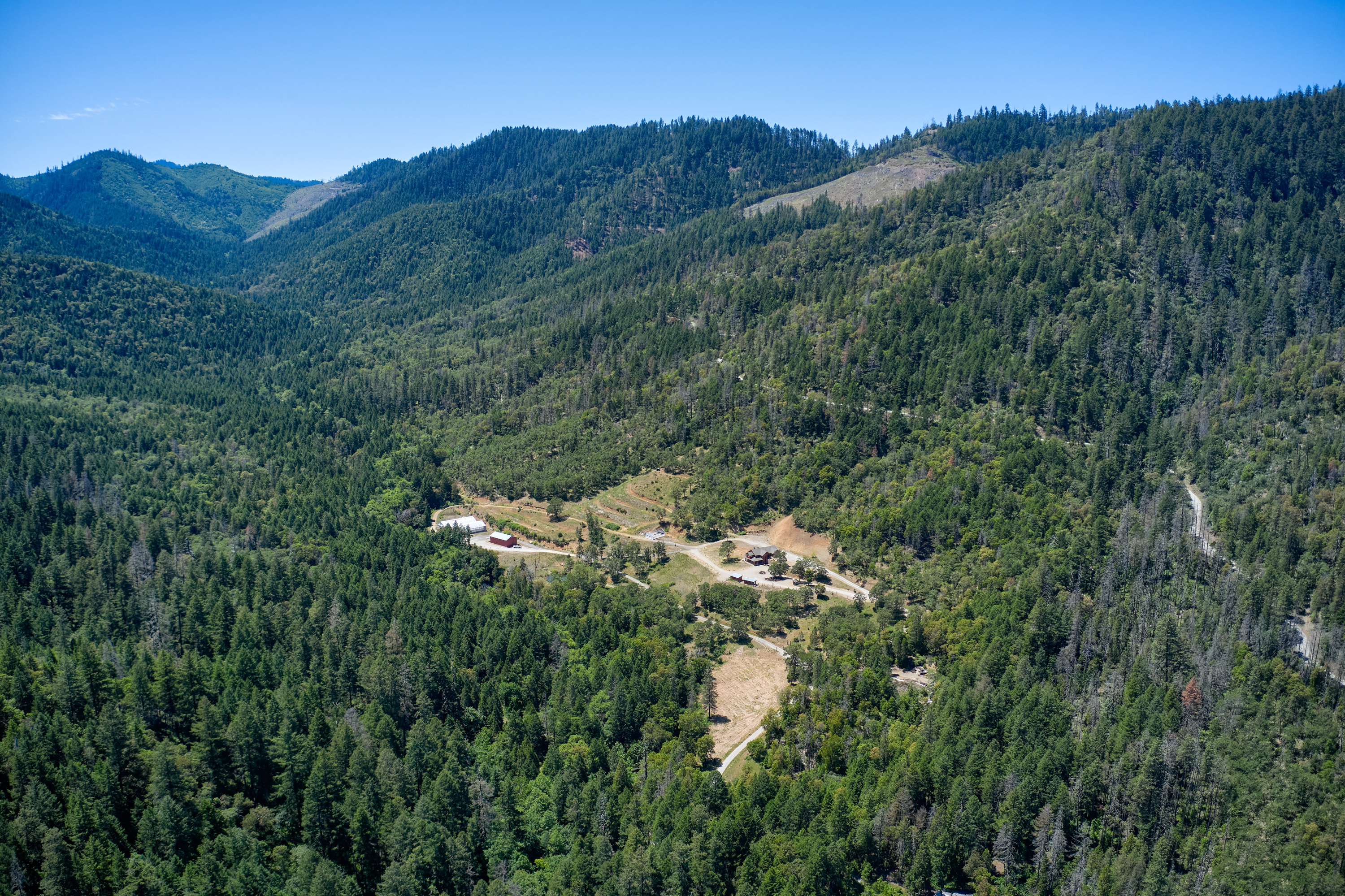 Listing Image 53
