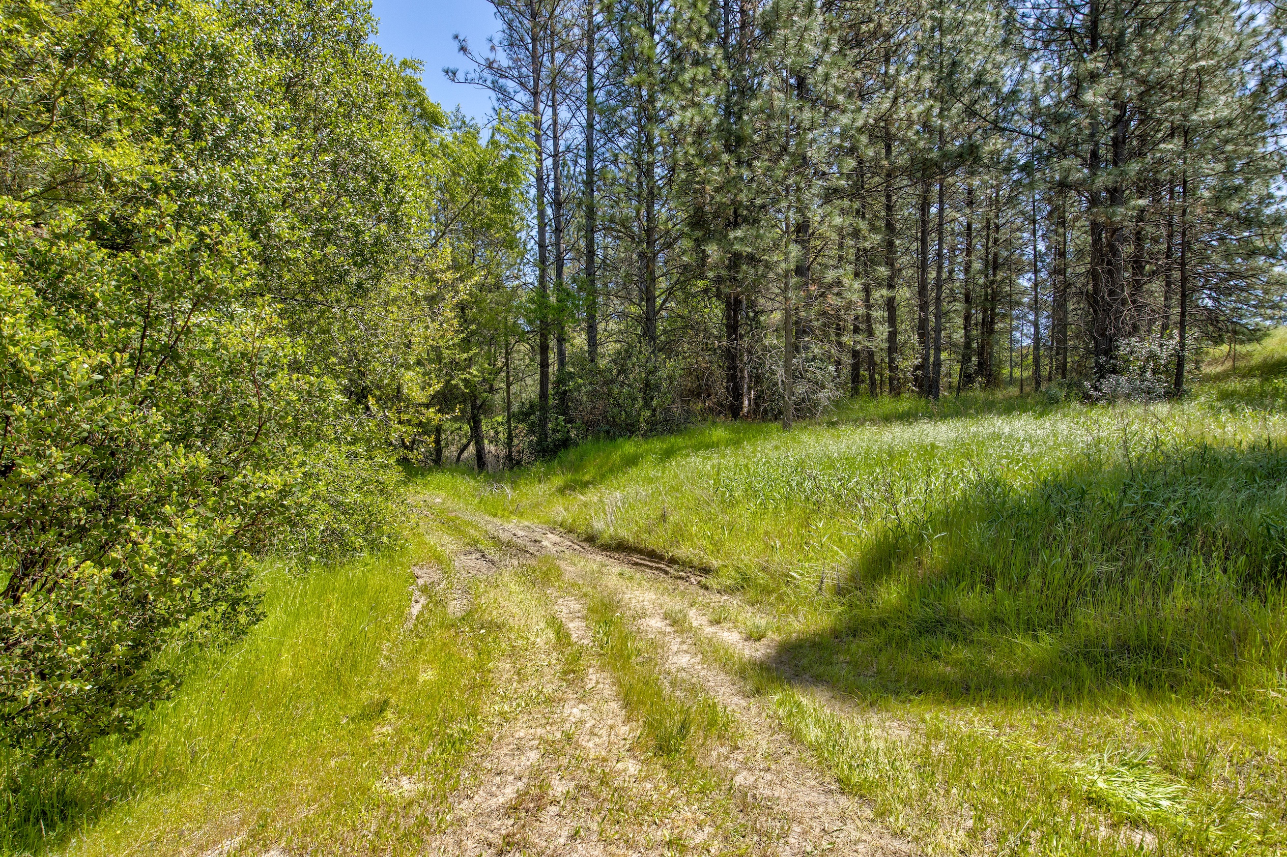 Listing Image 64