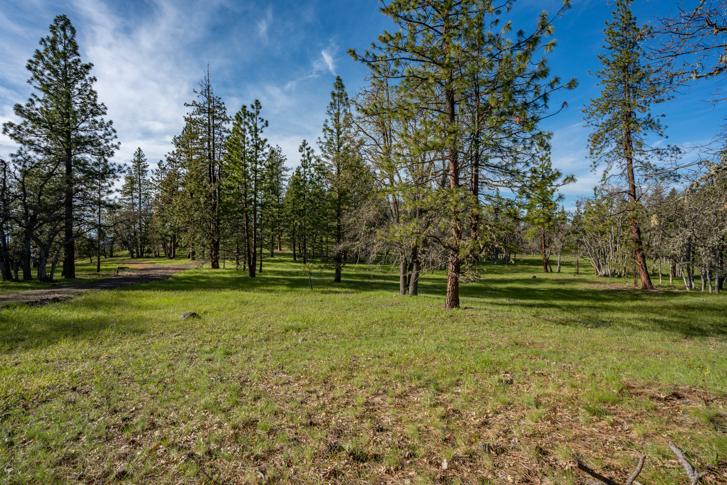 Mount Baldy Ranch