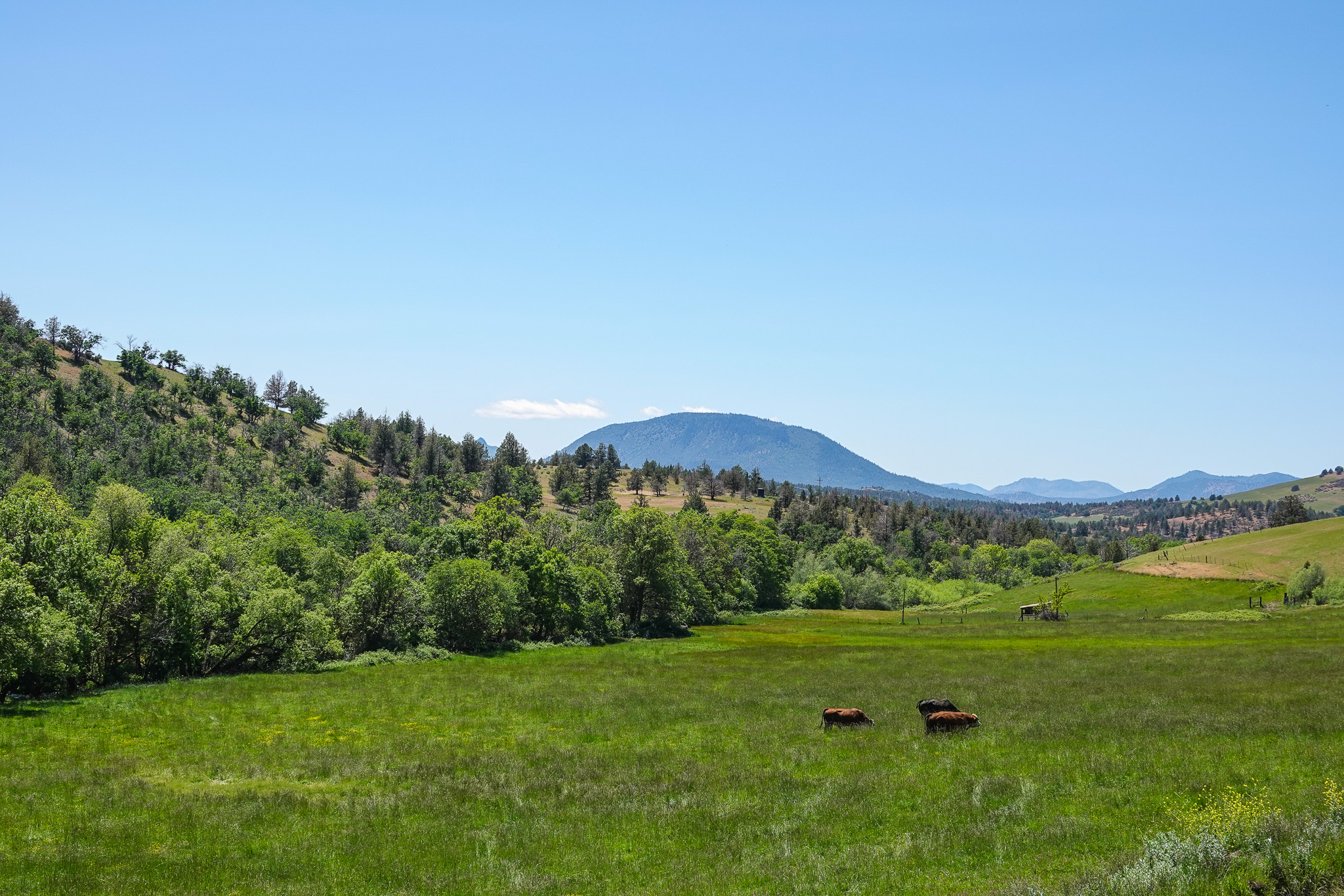 MJ Ranch