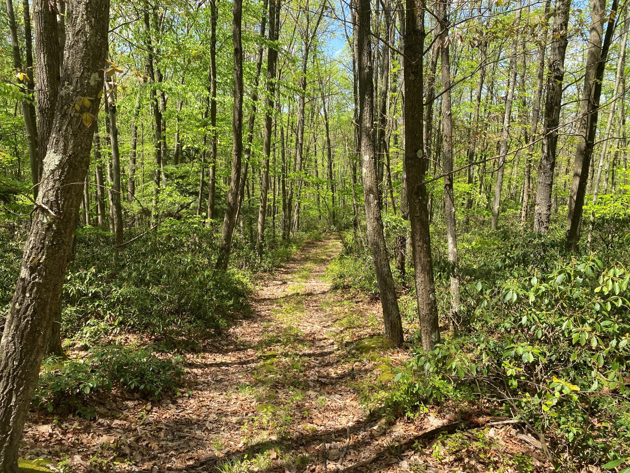 Listing Image 8