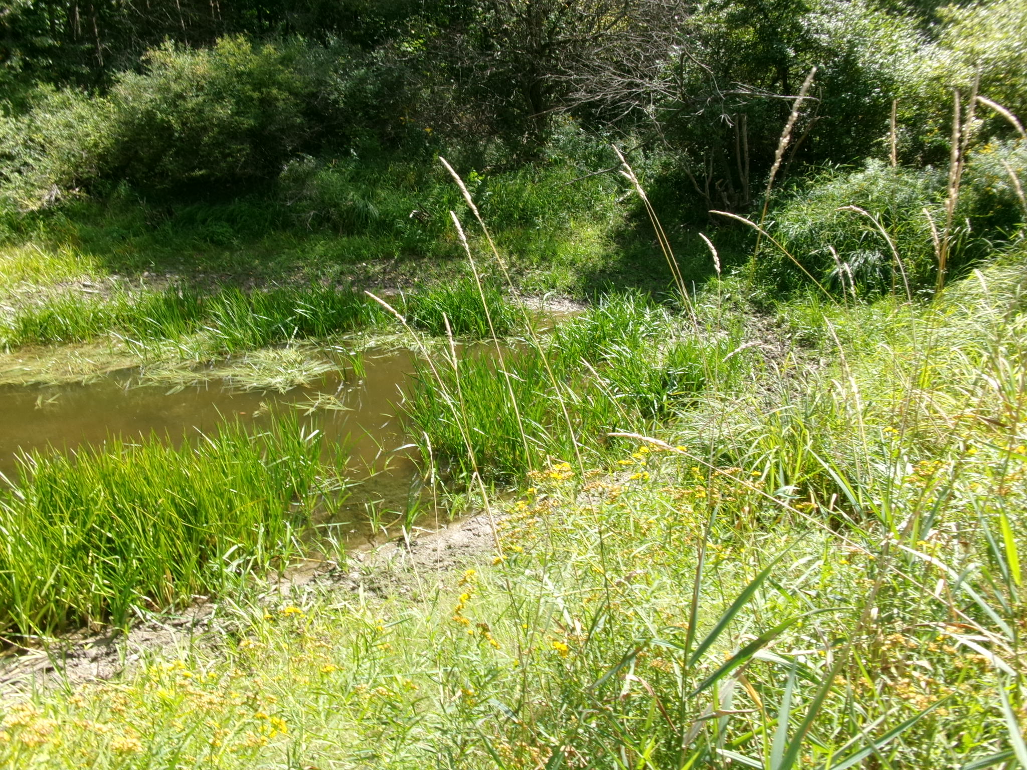 Listing Image 32