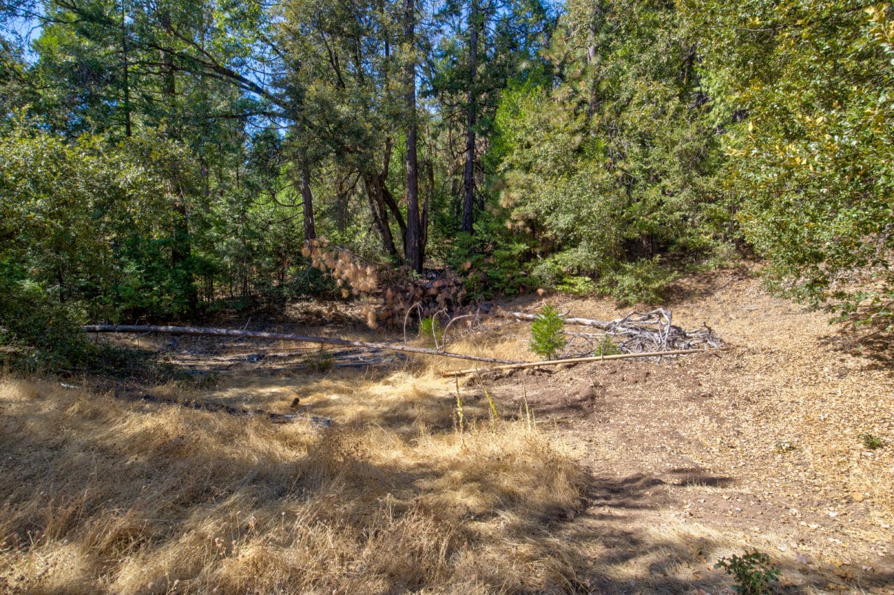 Listing Image 38