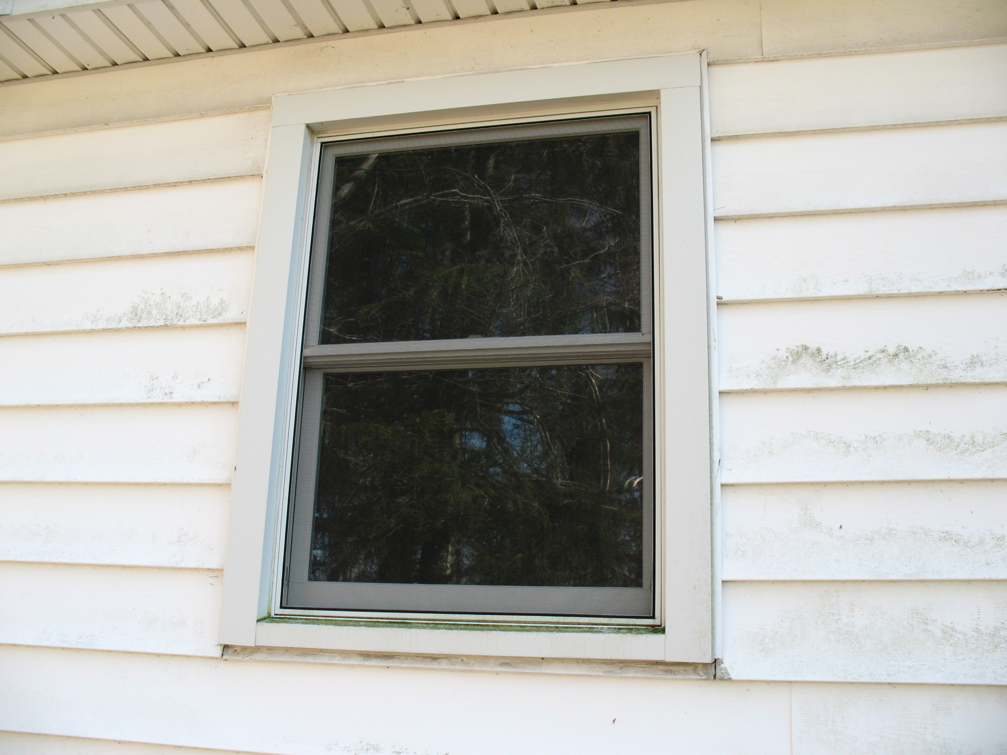 Listing Image 41