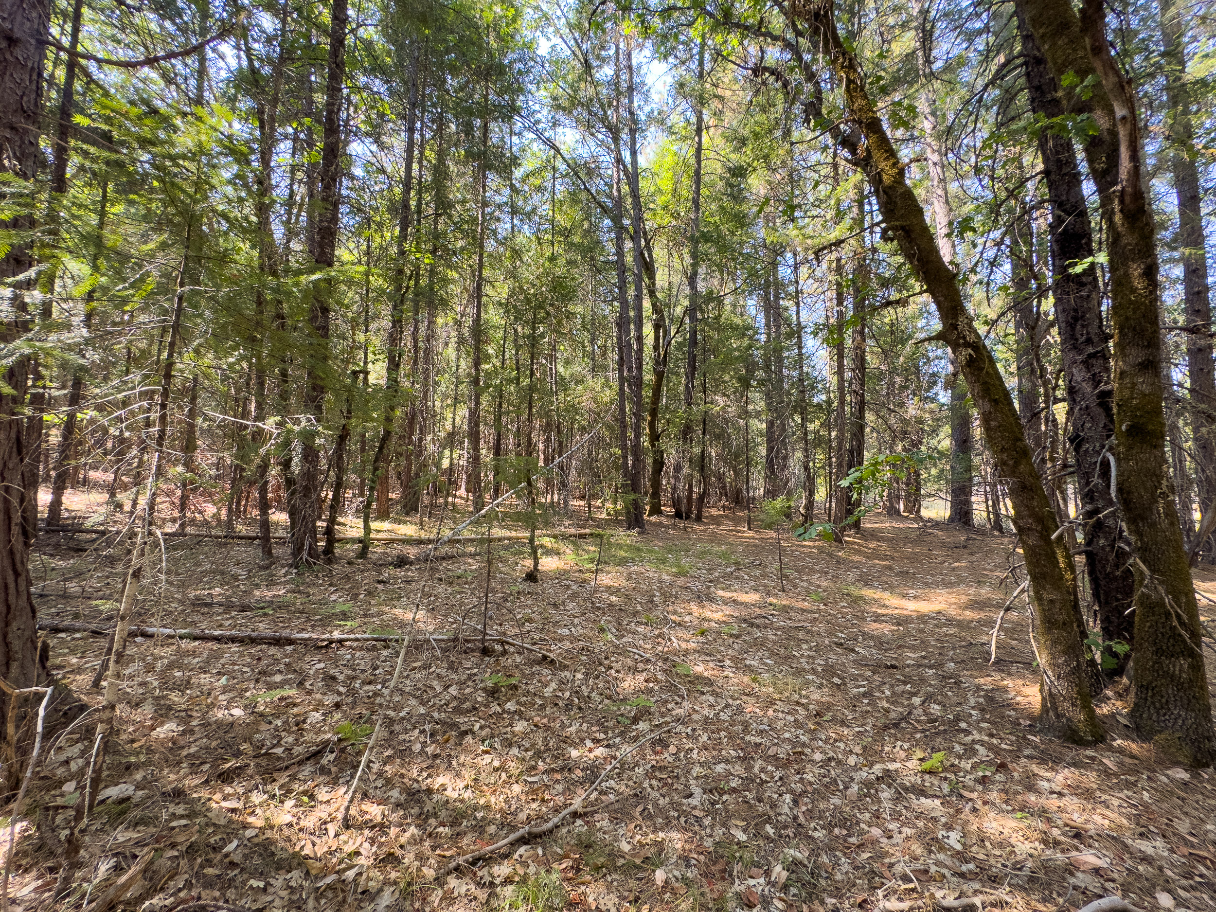 Pleasant Creek Road TL301