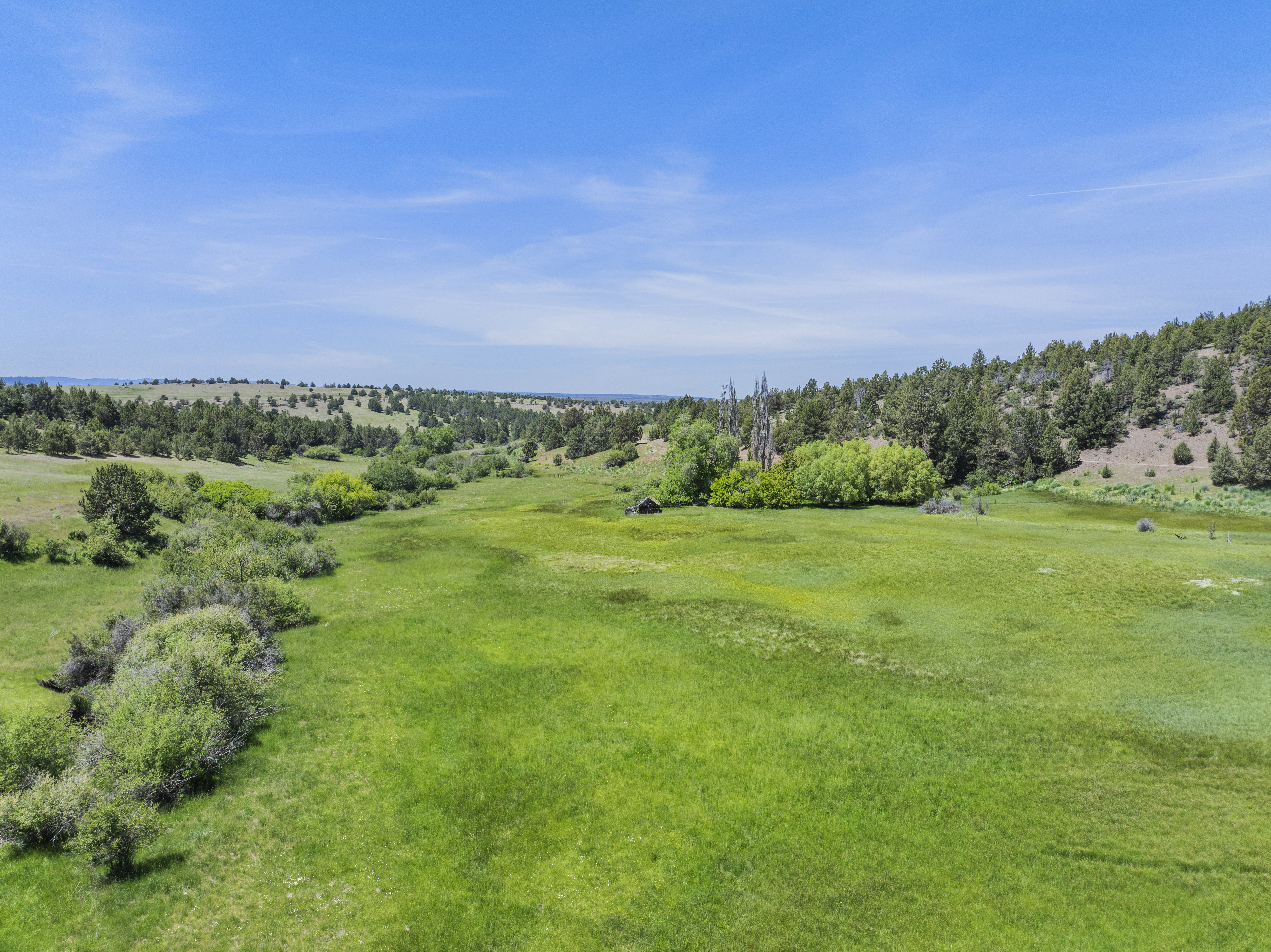 Listing Image 51