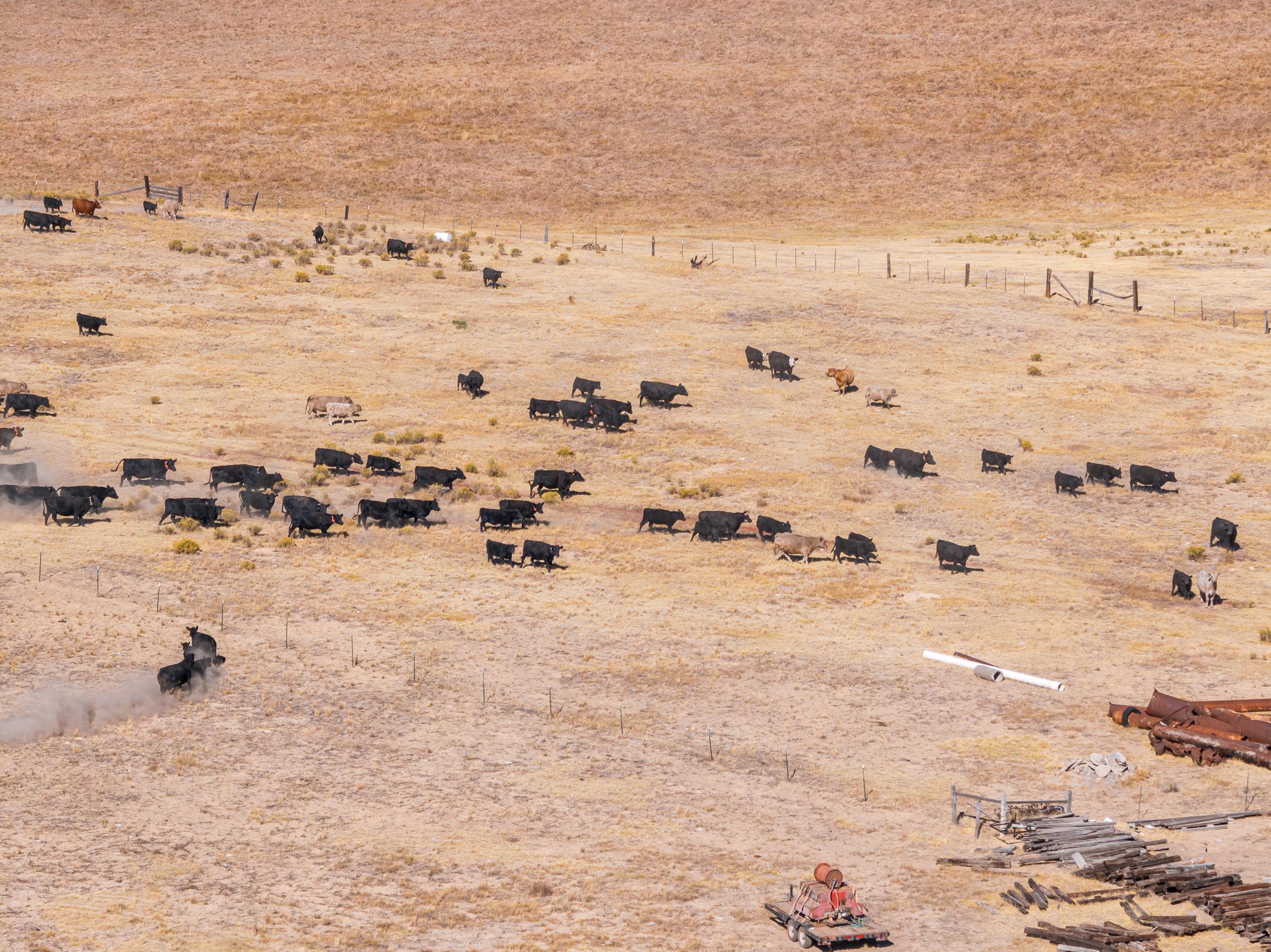 Listing Image 74