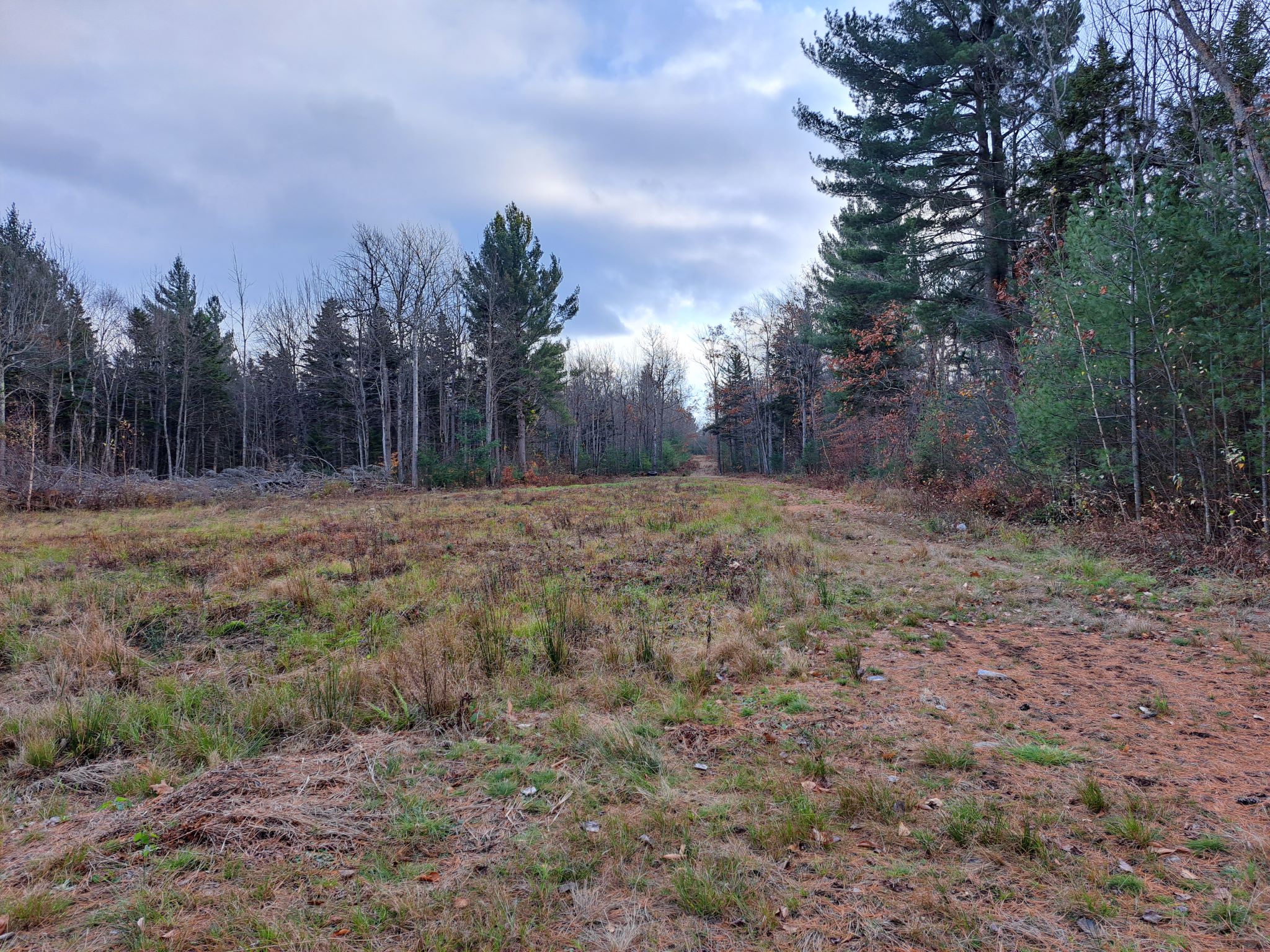 Listing Image 41