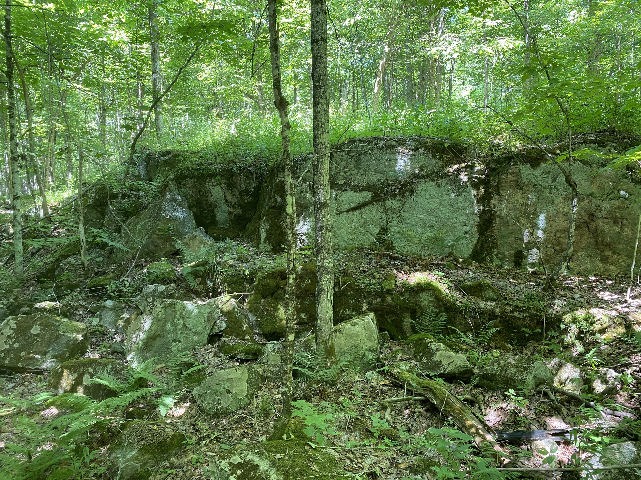 Listing Image 69