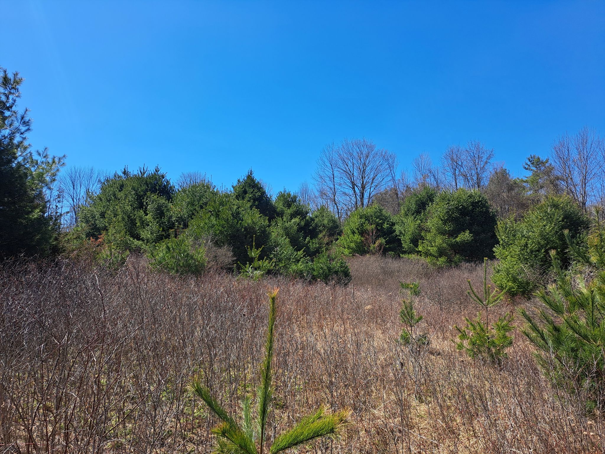 Listing Image 54