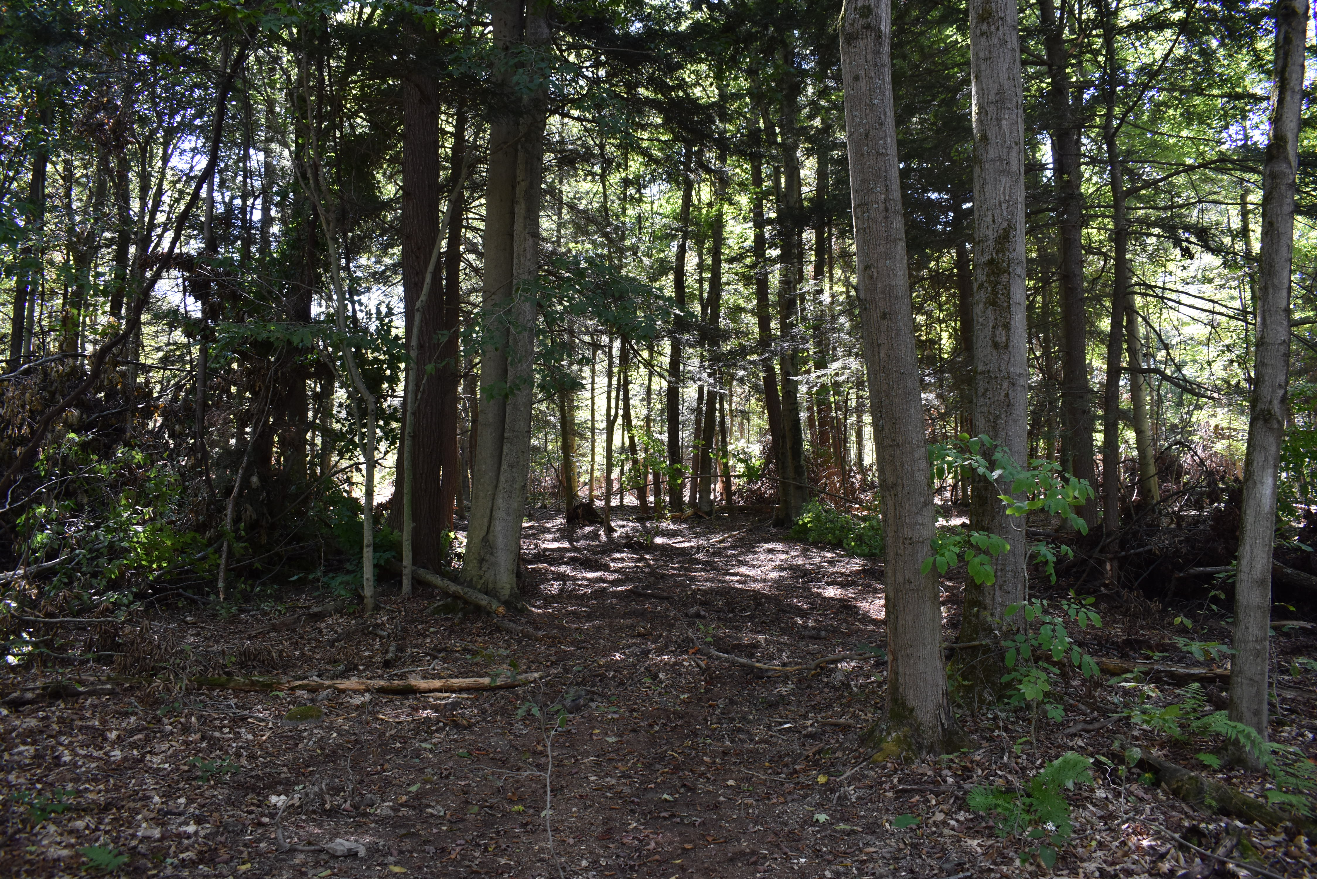 Hunter's Hidden Treasure