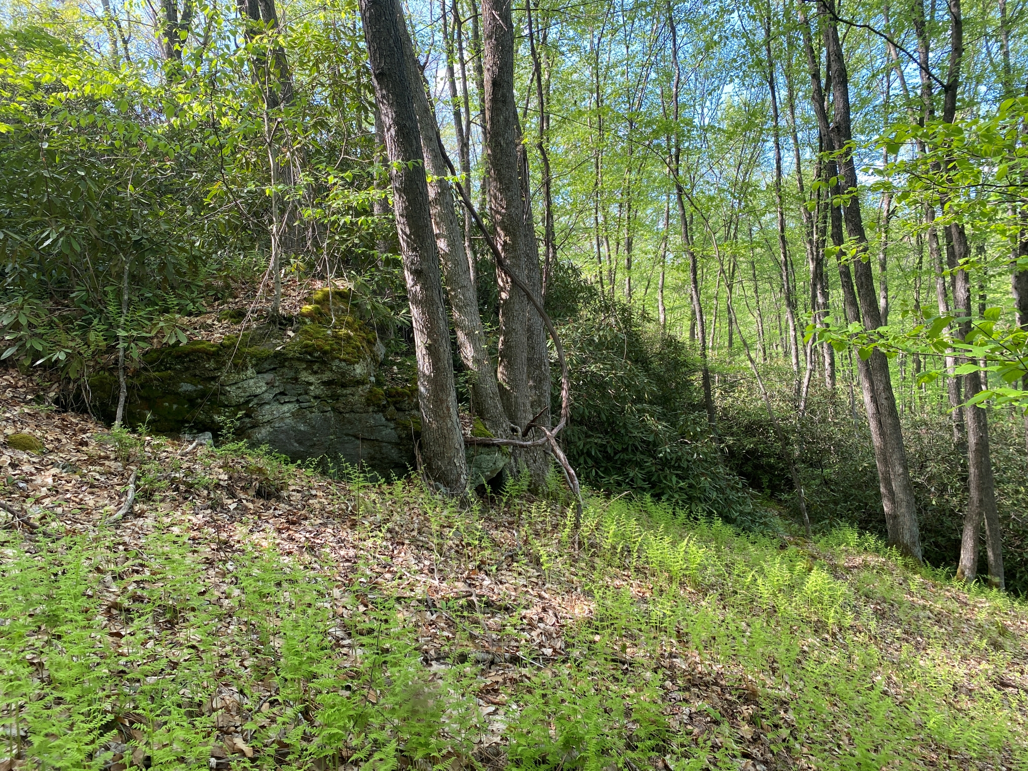 Listing Image 38