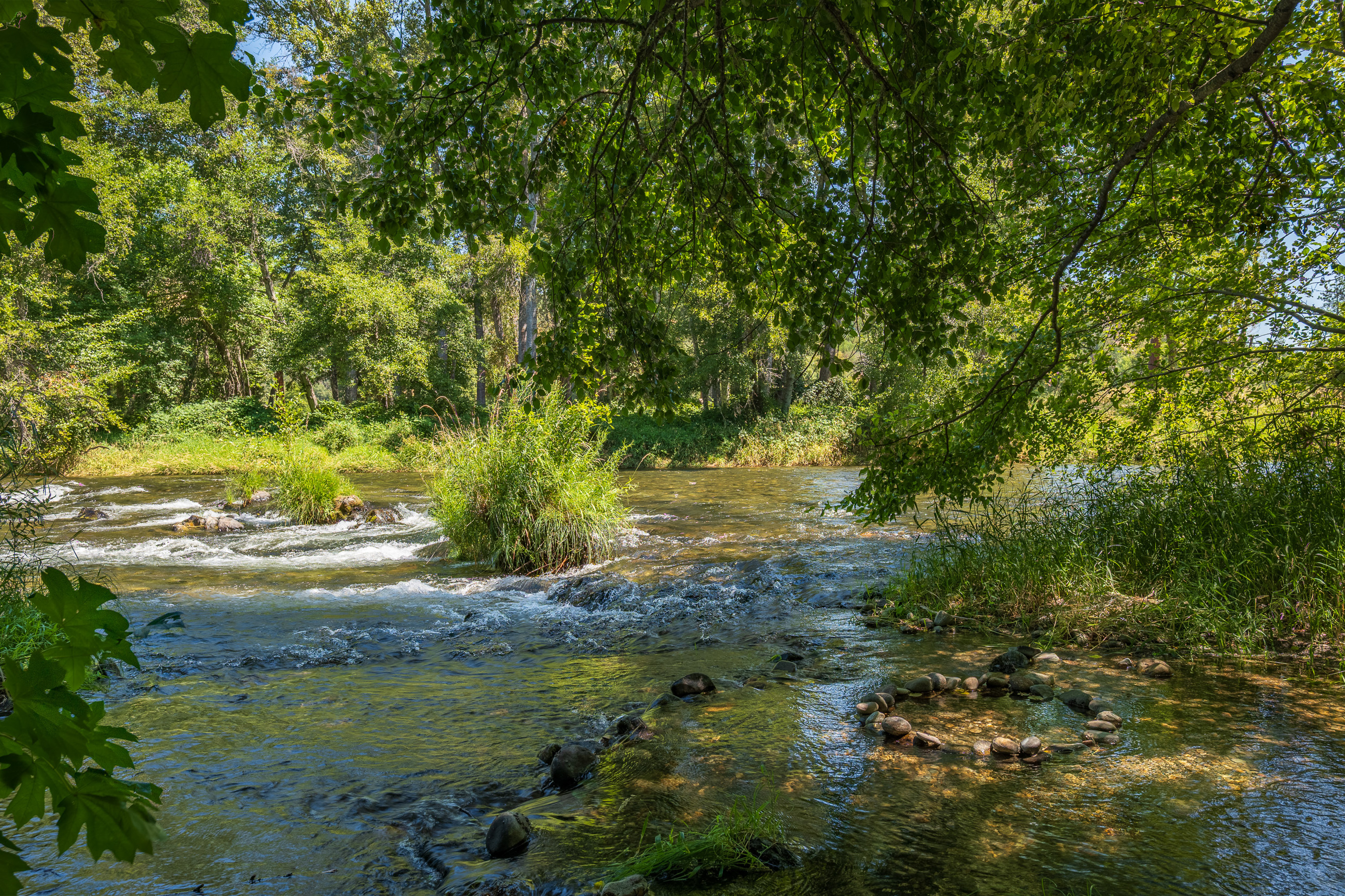 Applegate River Retreat - 11677 Hwy 238