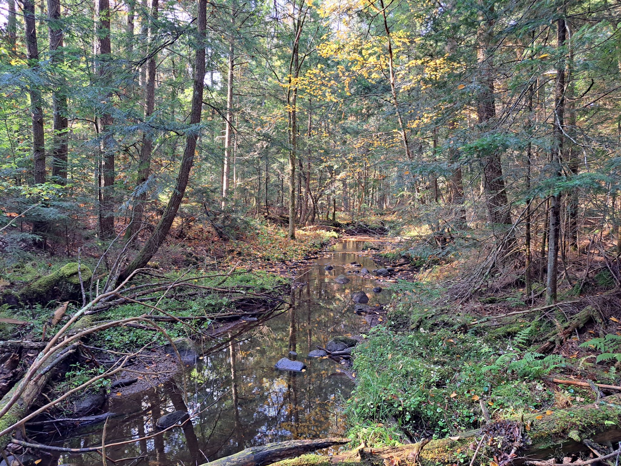 Listing Image 46