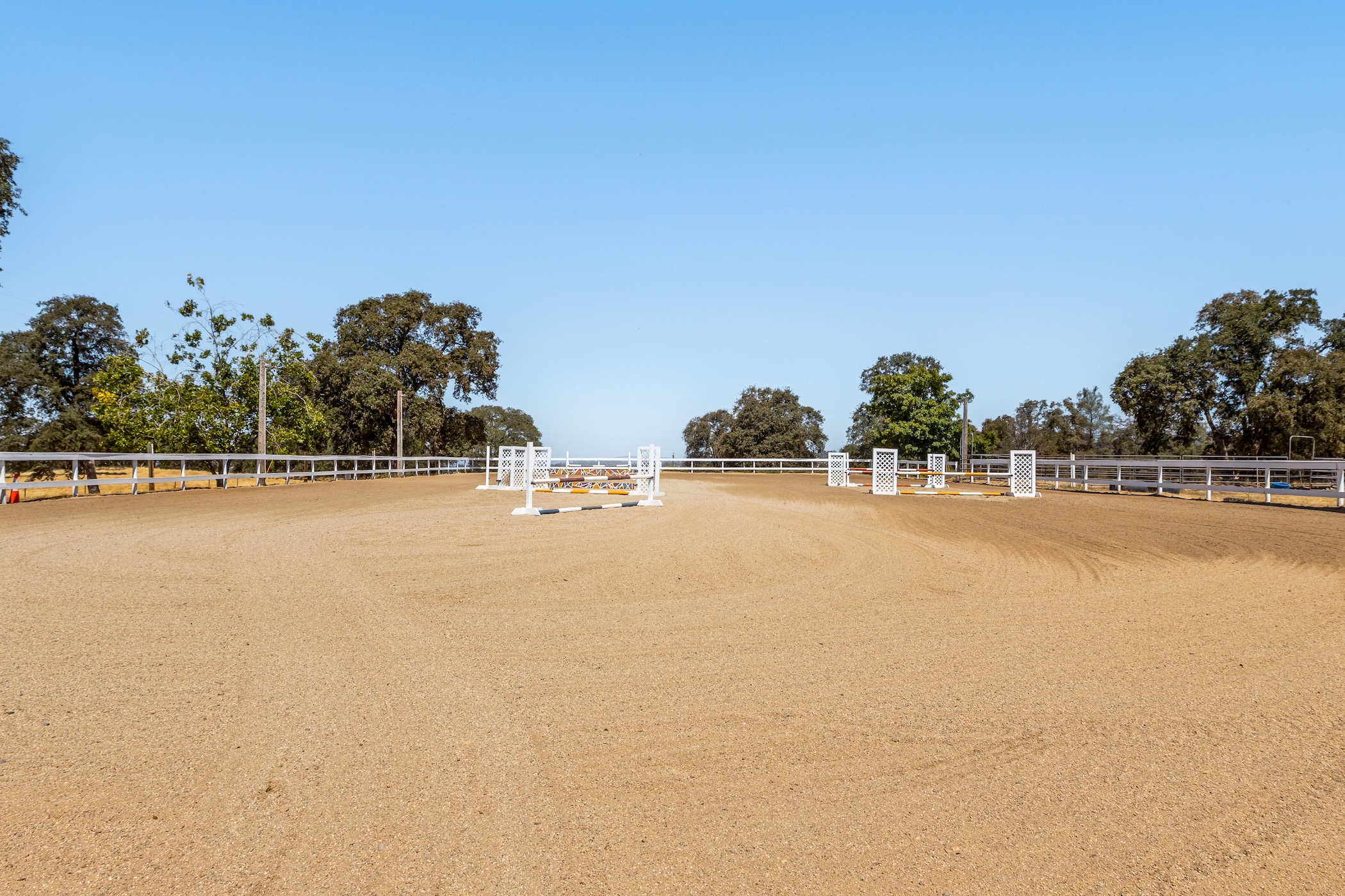 Blue Fountain Farm