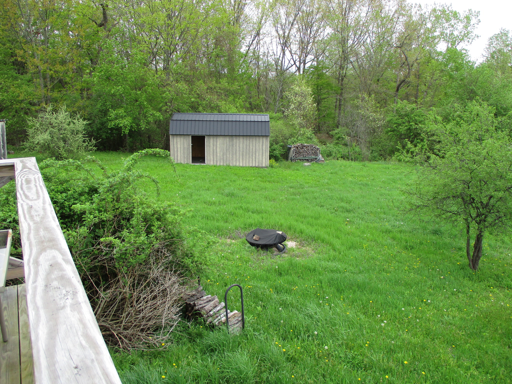 Blank Canvas Cabin