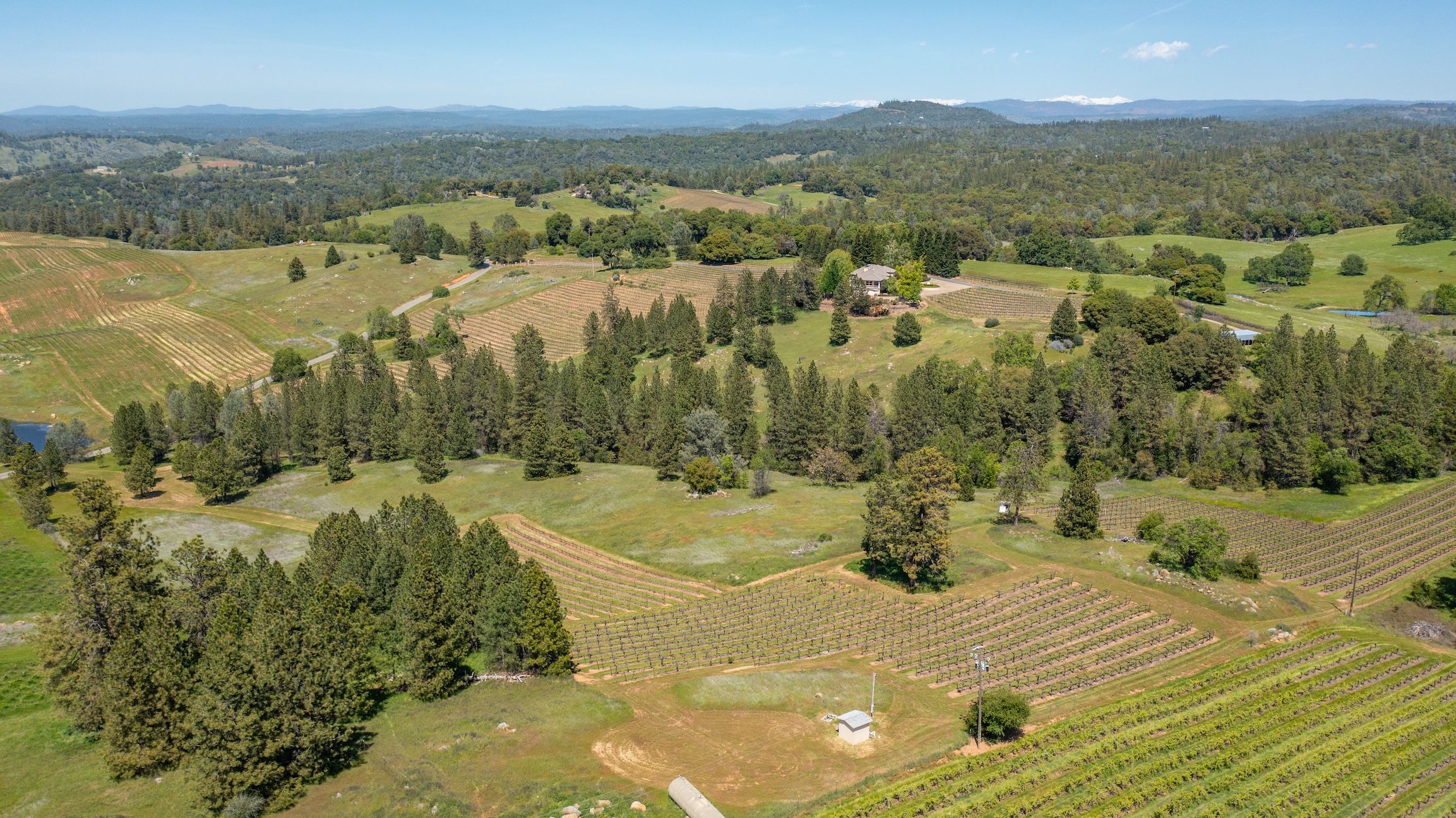 Listing Image 88