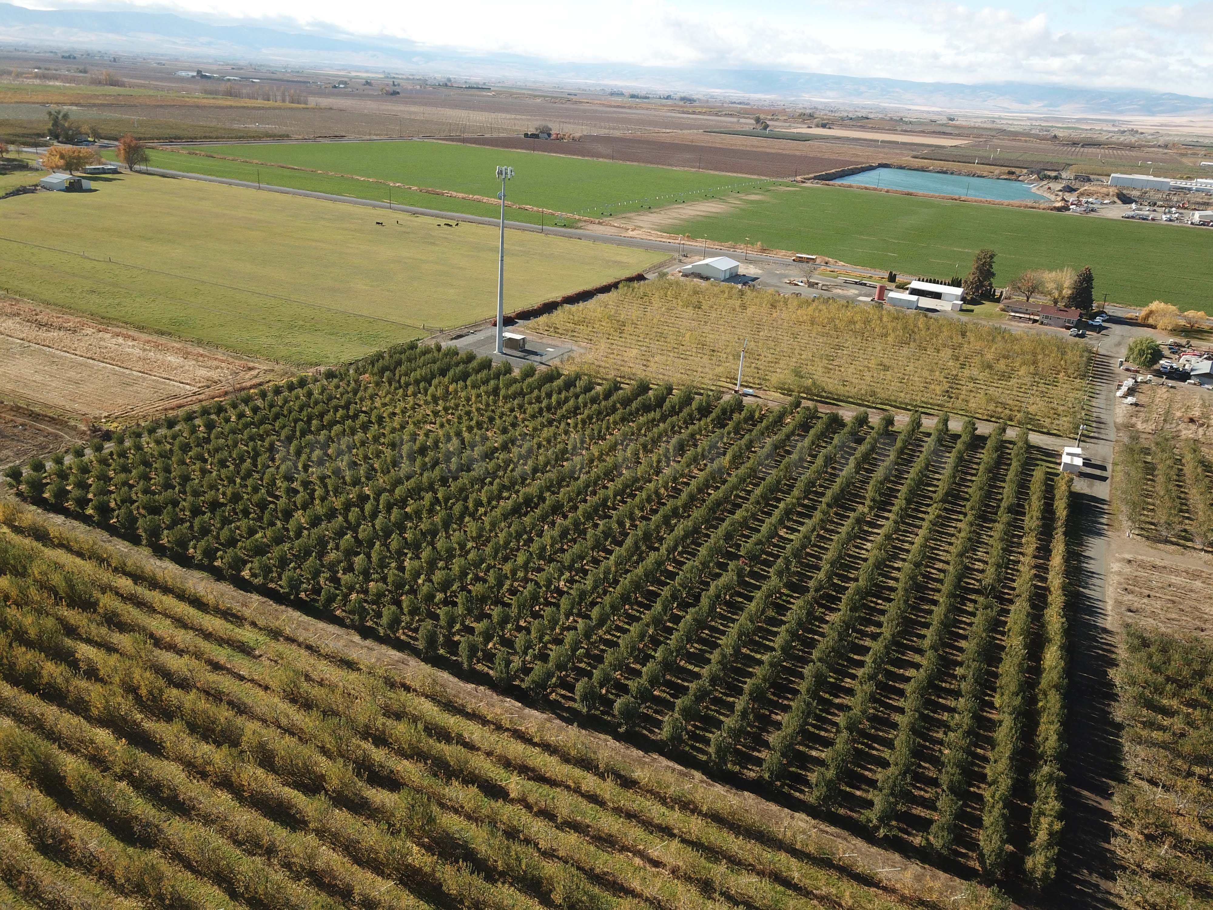 Apple Orchard w Equipment, House and Shops!