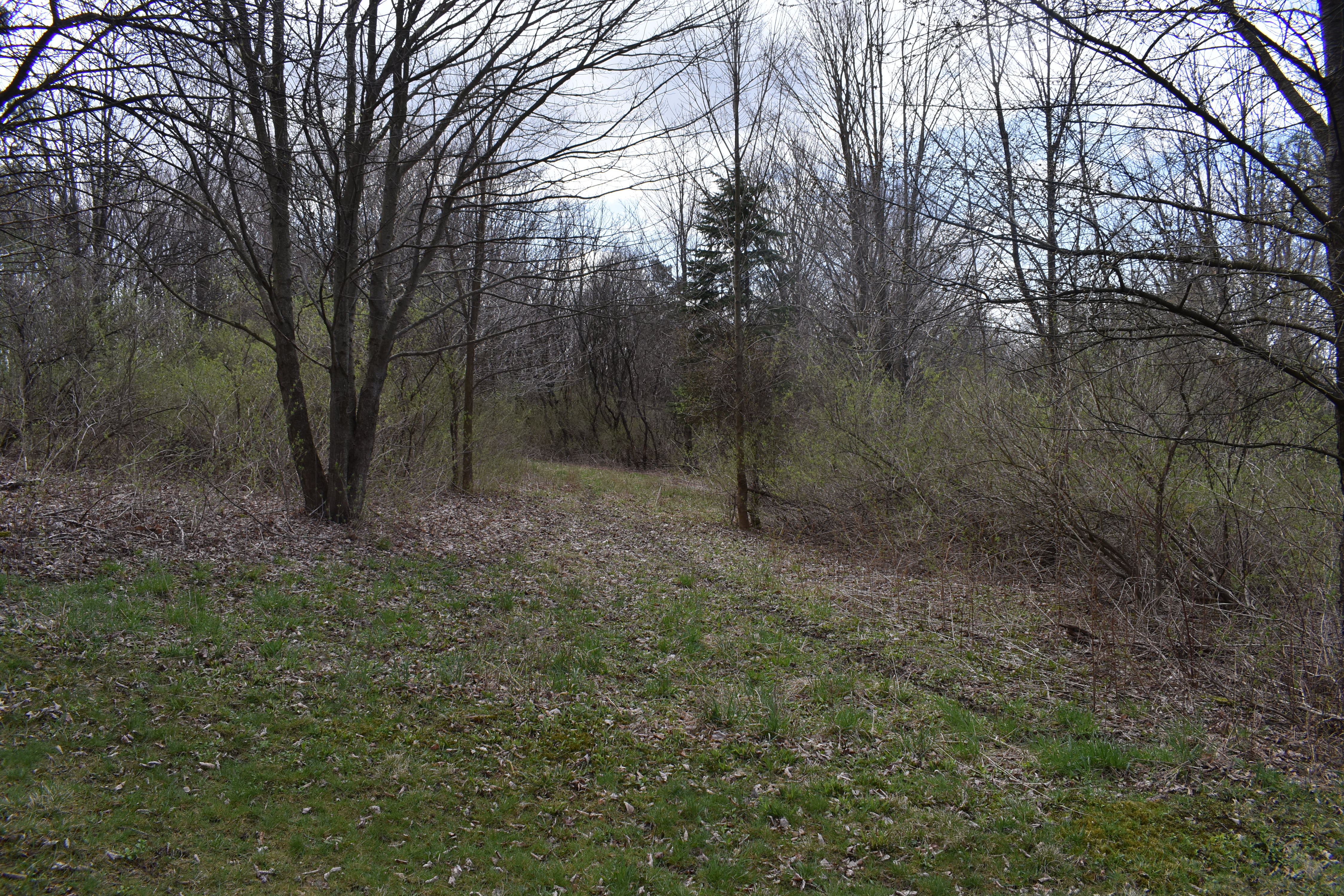 Listing Image 90