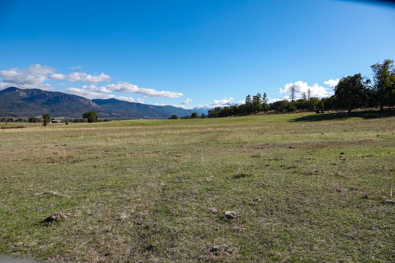 Listing Image 55