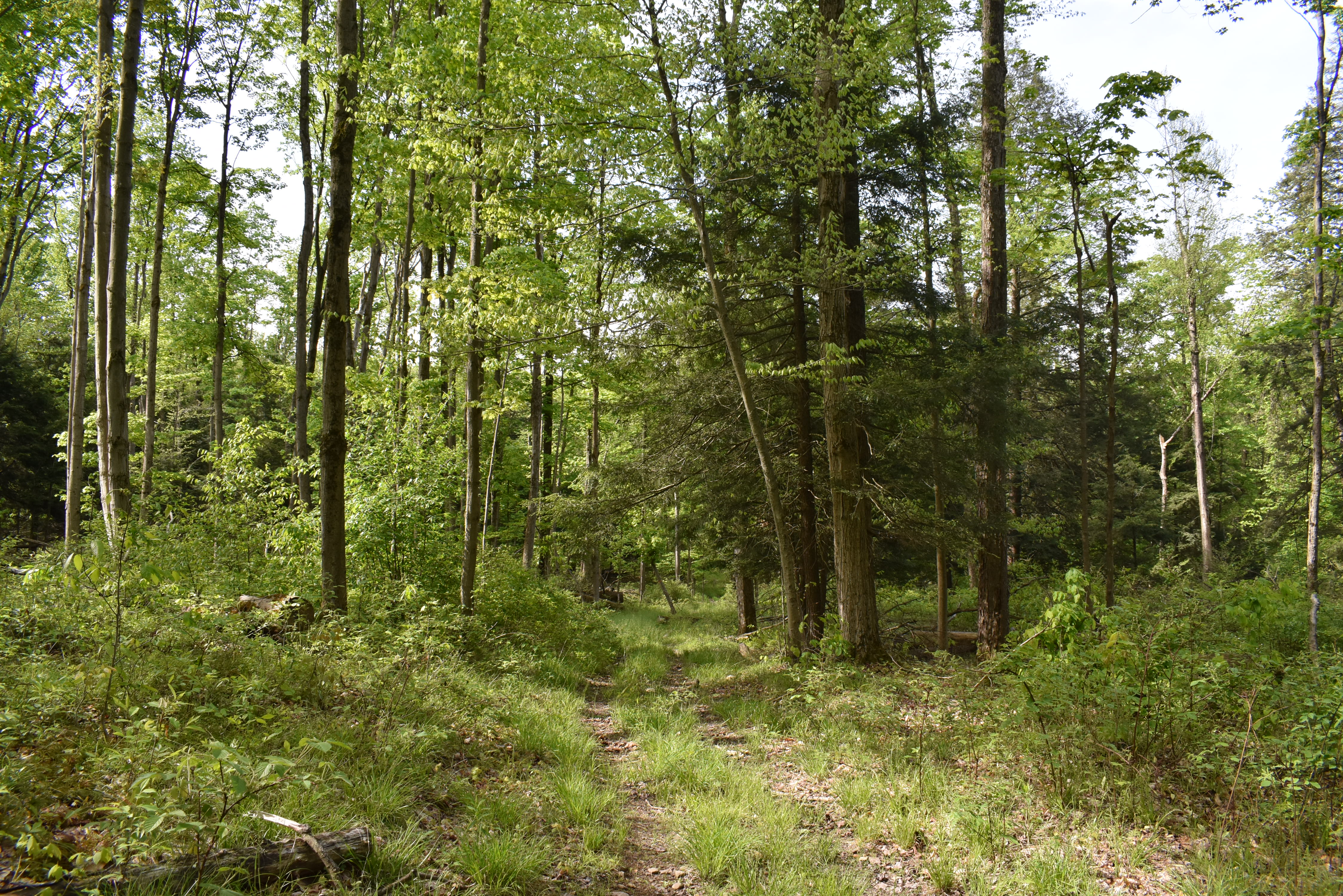 Listing Image 14