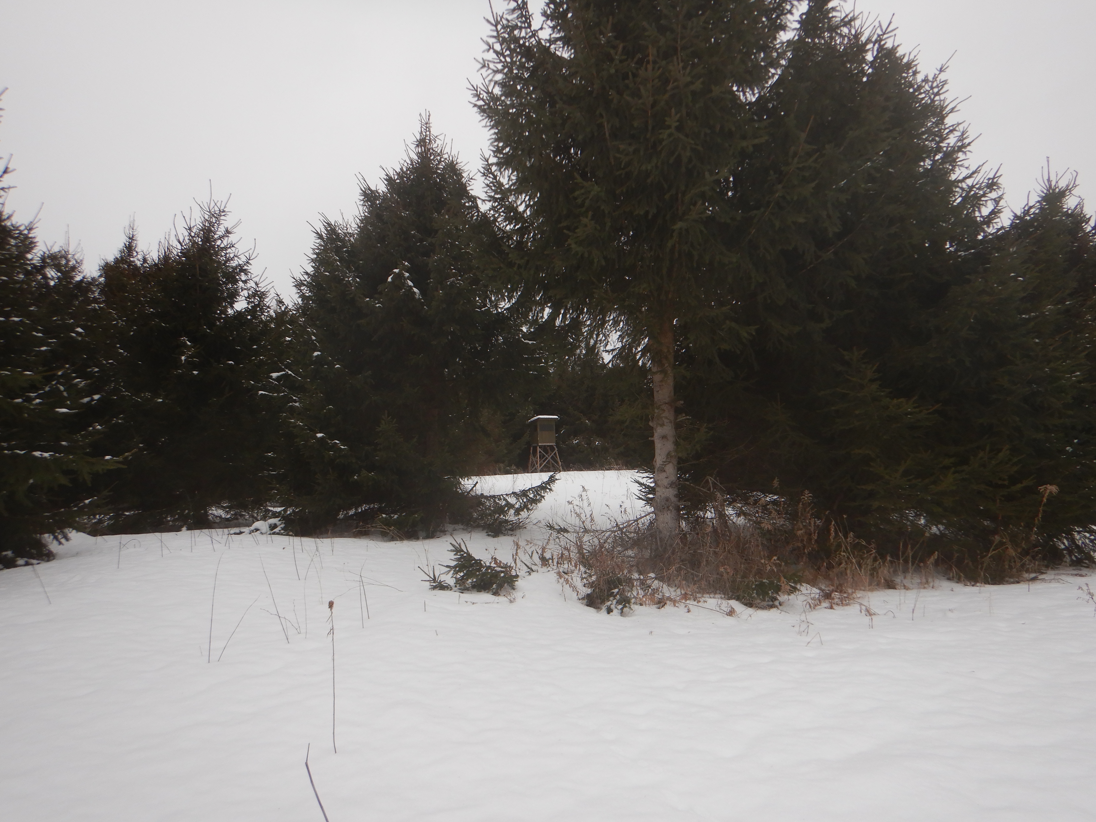 Listing Image 8