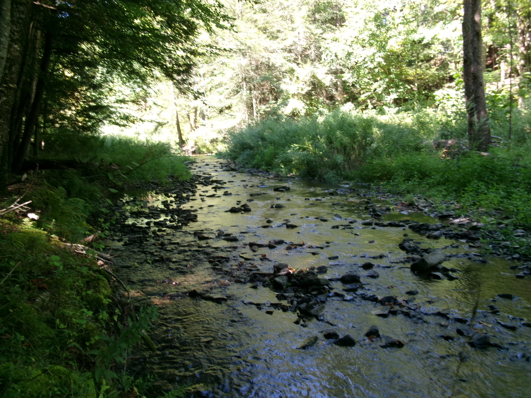 Listing Image 52